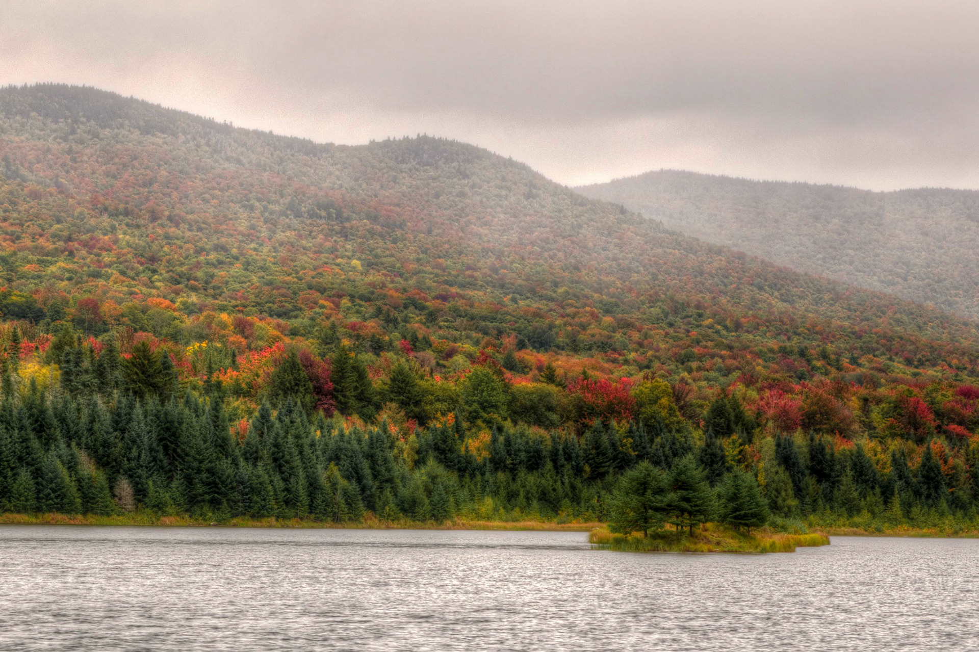 Misty Autumn Blueberry Lake