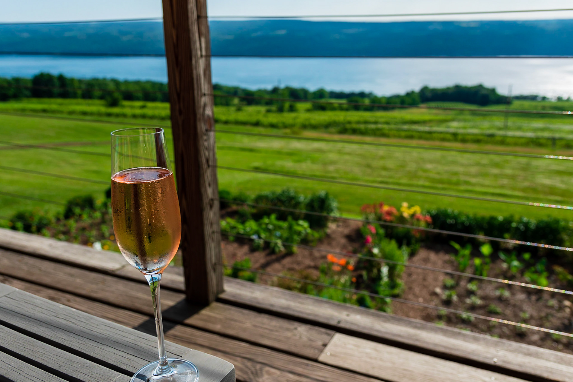 Sparkling Rose overlooking Seneca Lake
