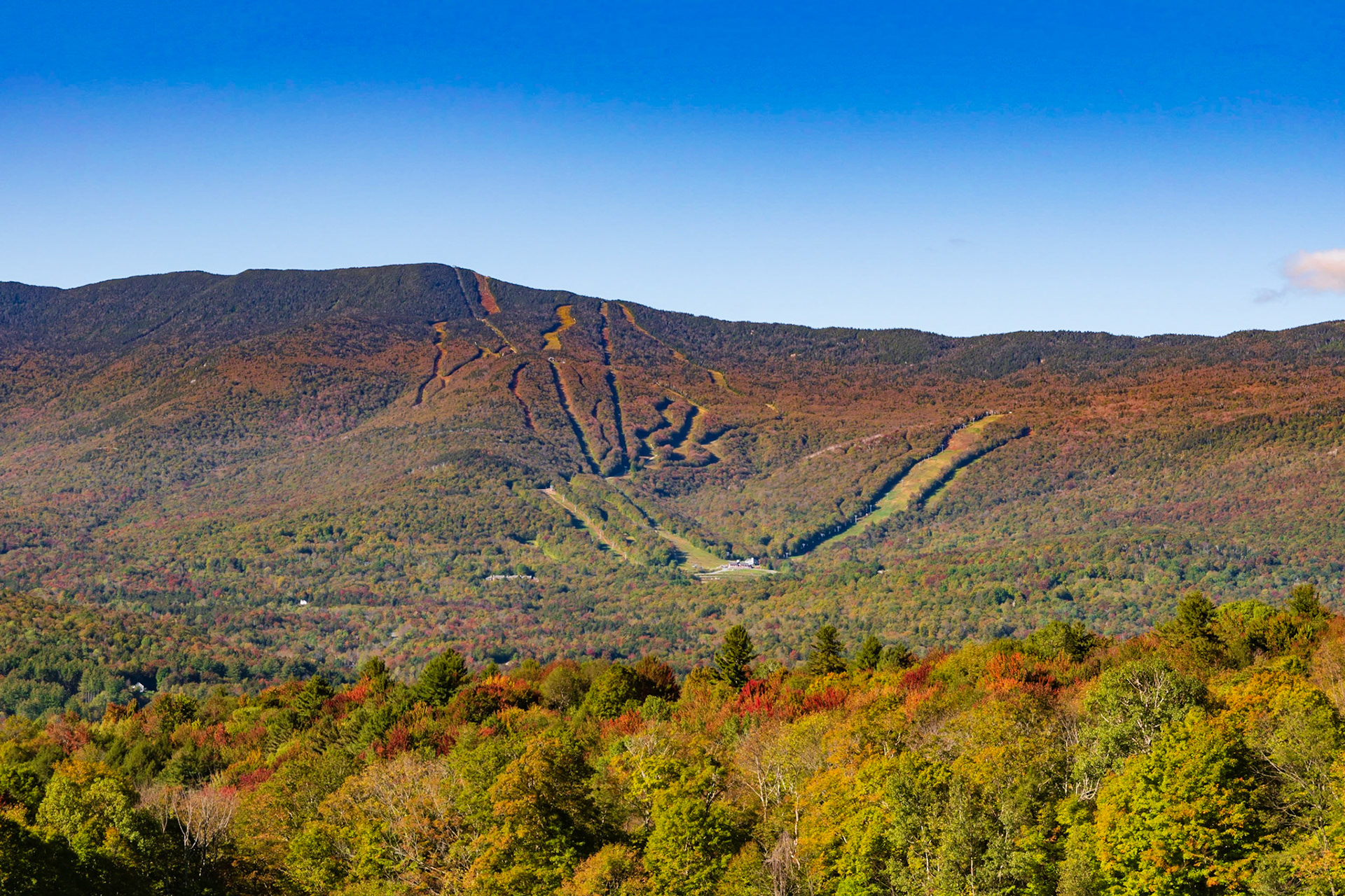 Mt Ellen Foliage