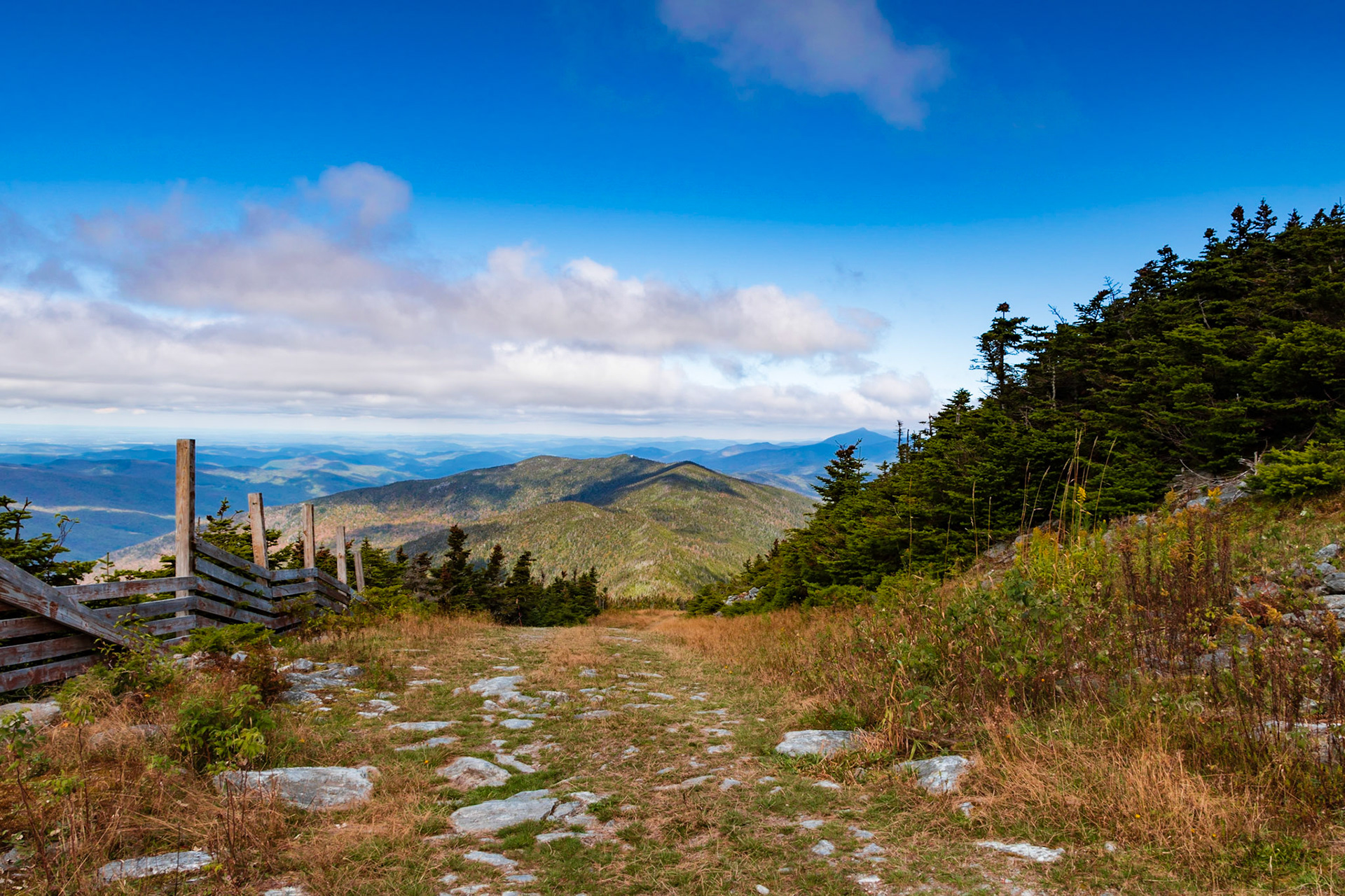 Mt Ellen