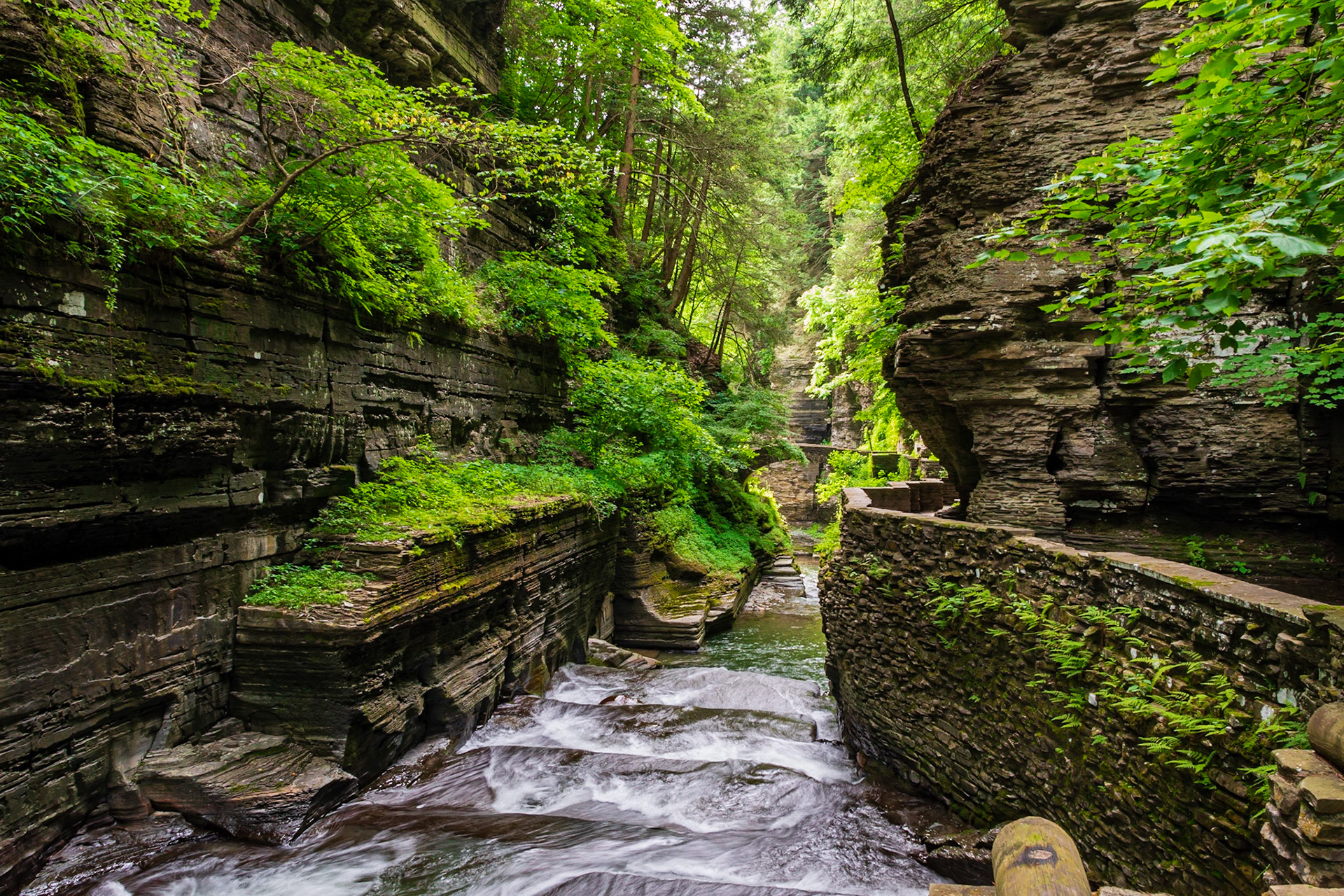 Robert H Treman State Park