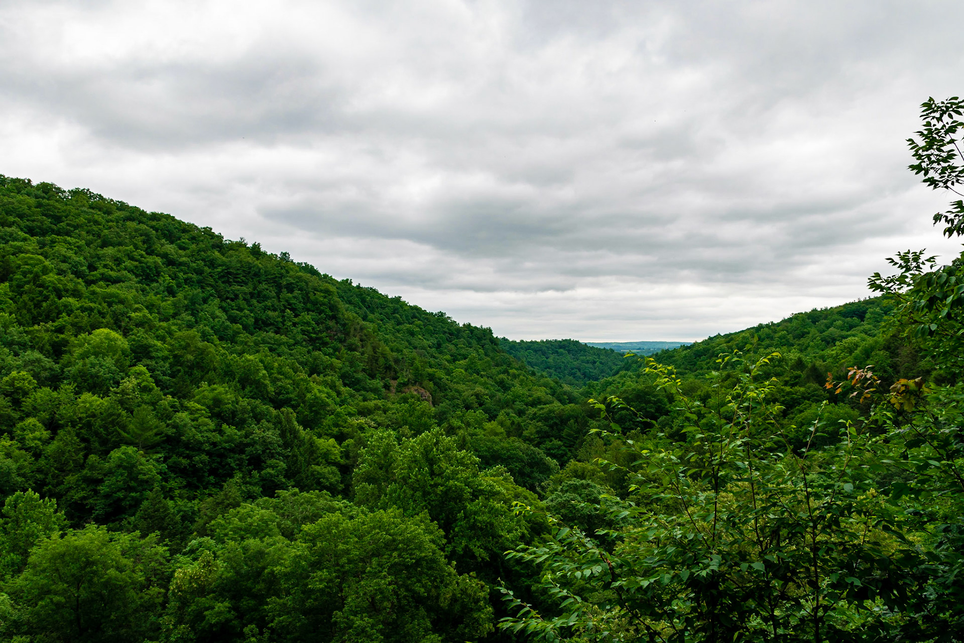 Robert H Treman State Park