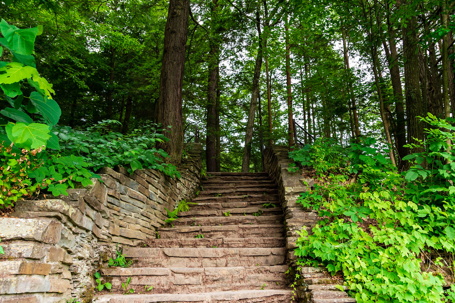 Robert H Treman State Park