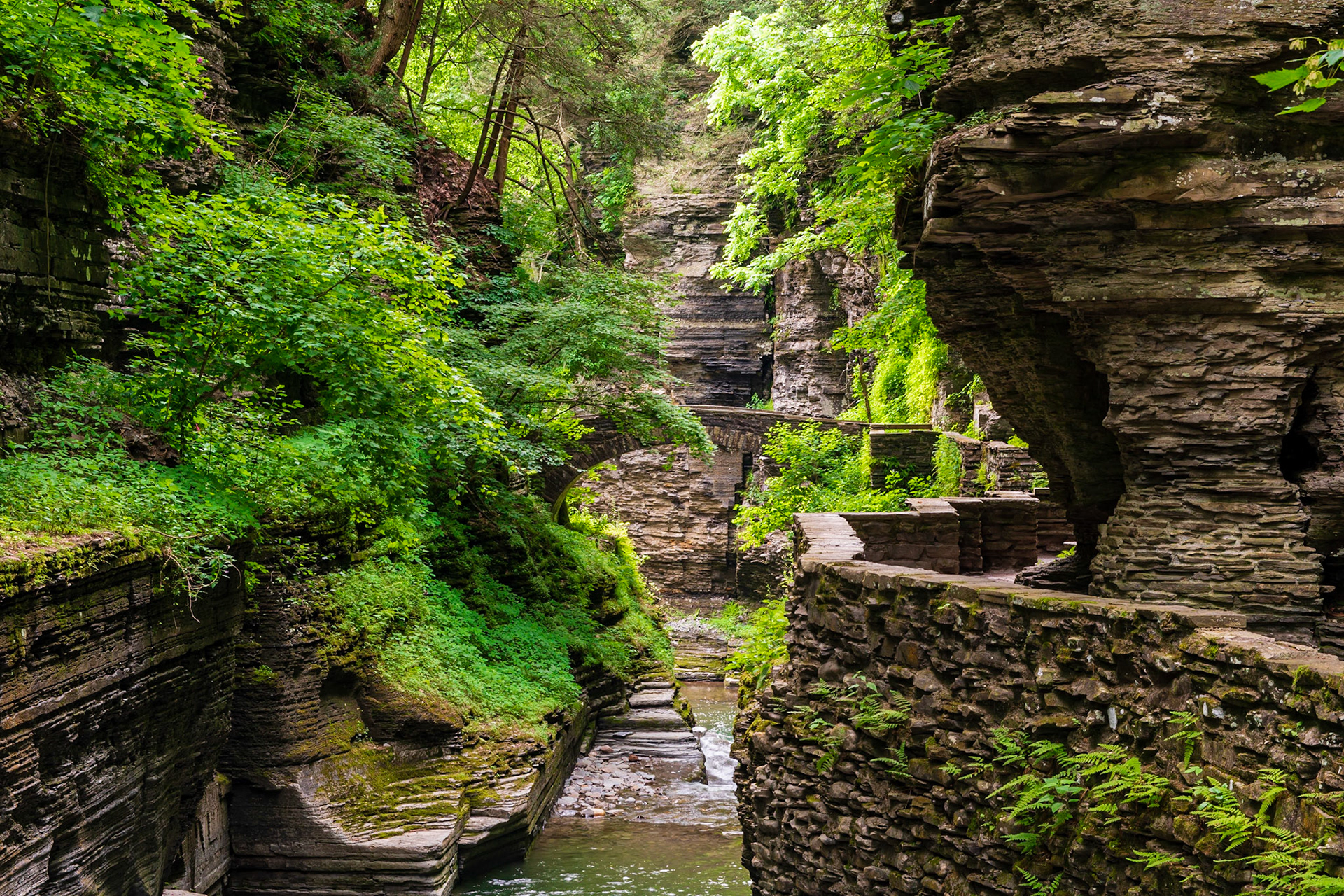 Robert H Treman State Park