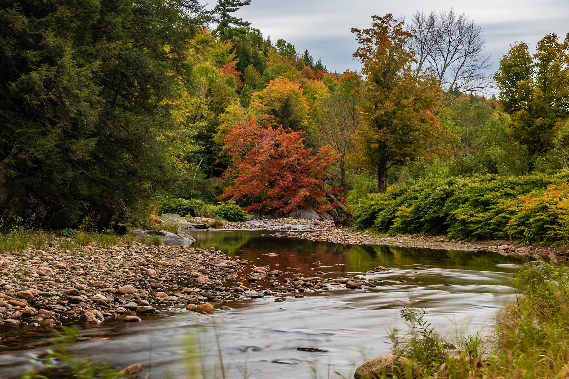 Mad River Fall Foliage