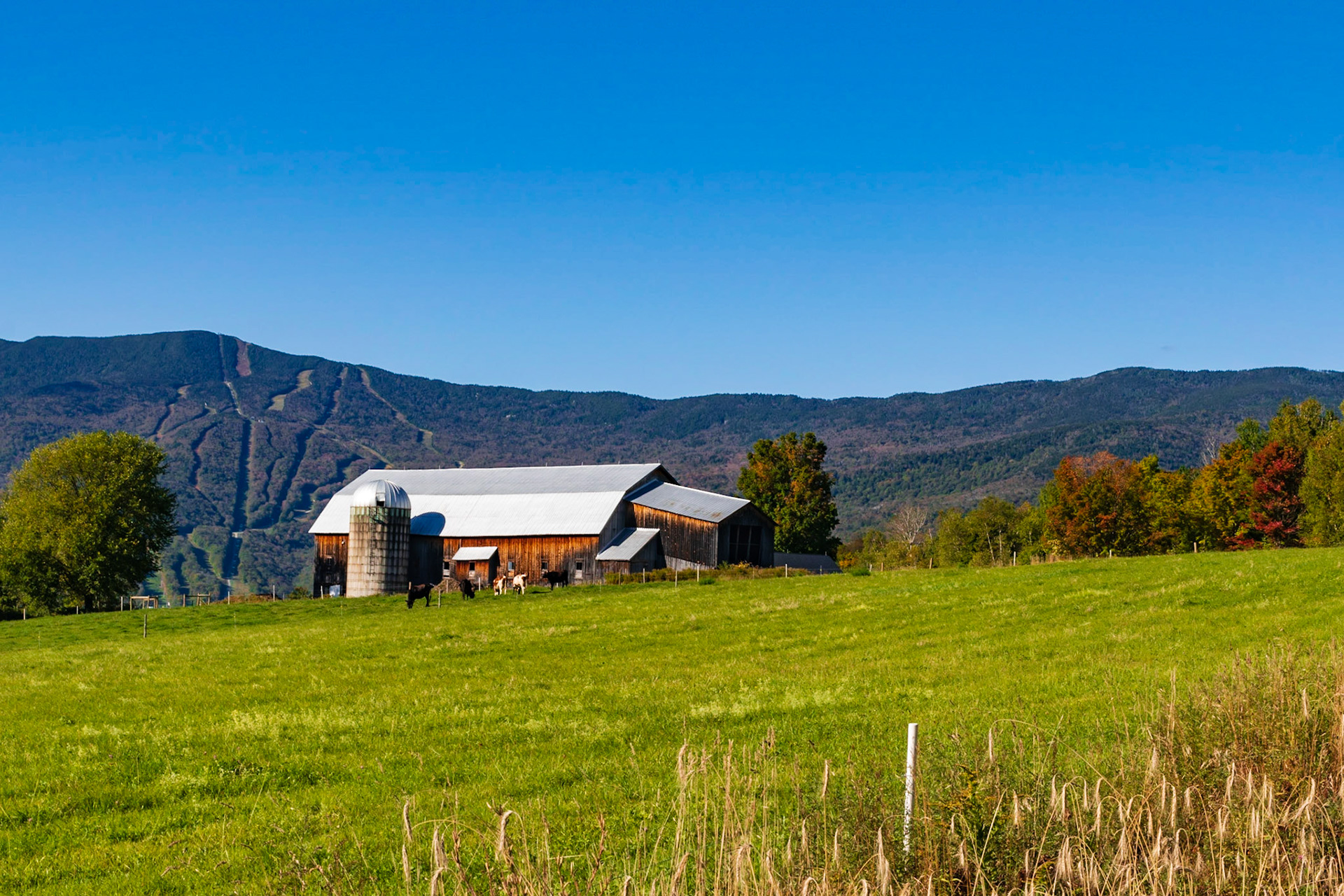 Bragg Hill Barn