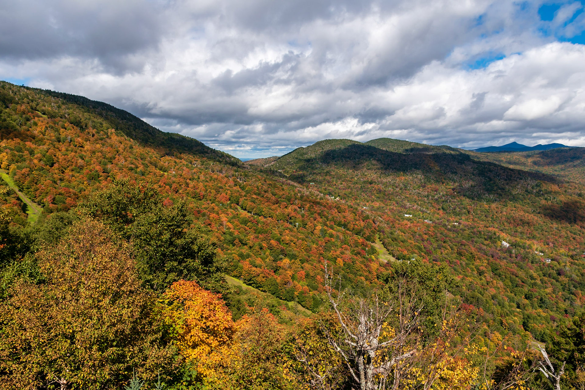Mad River Valley Fall Foliage