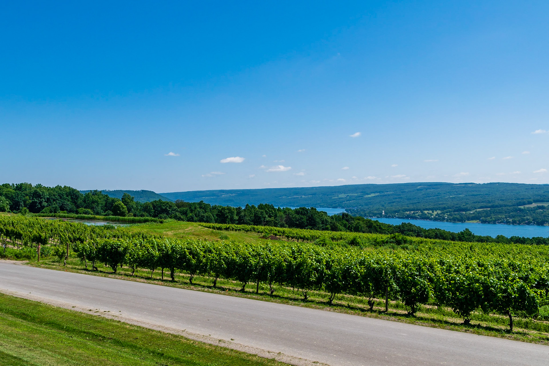 Vineyards over Keuka Lake