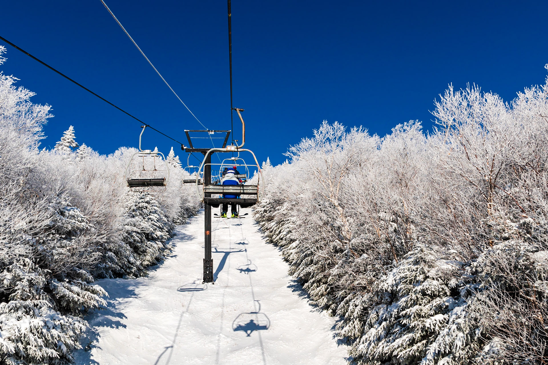 Bluebird sky above North Lynx