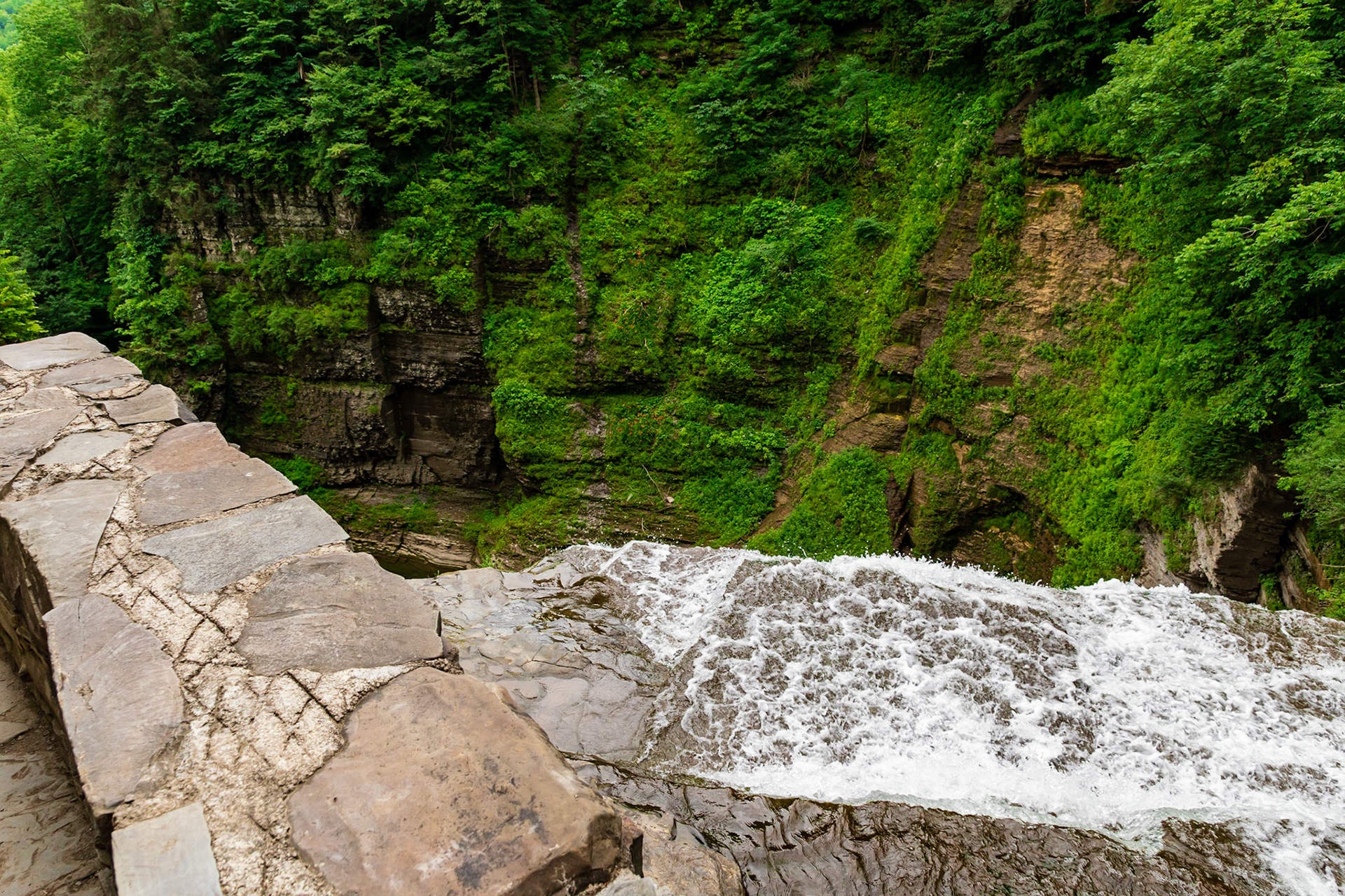 Robert H Treman State Park