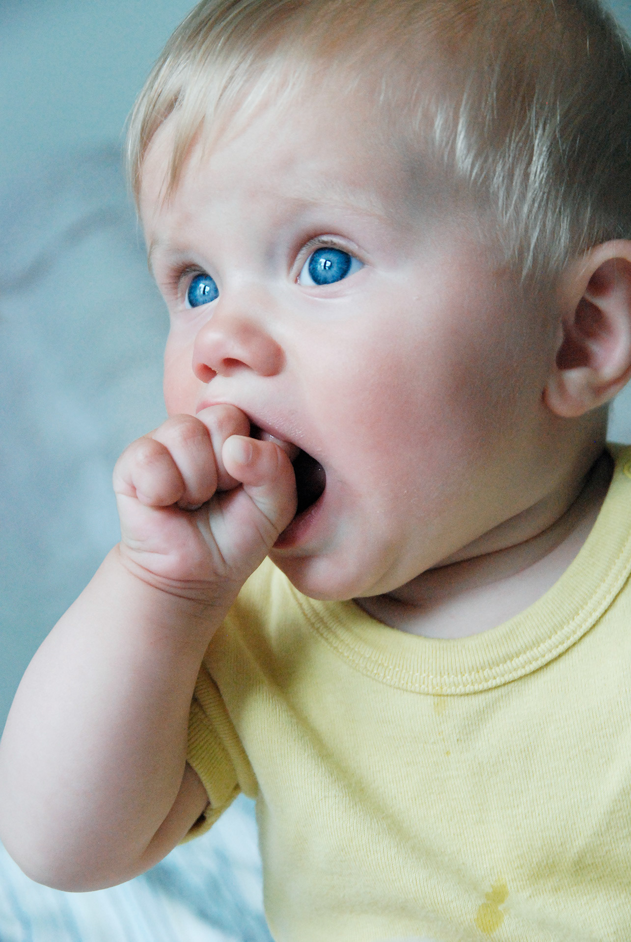 Ensjön, Norrköping 2008