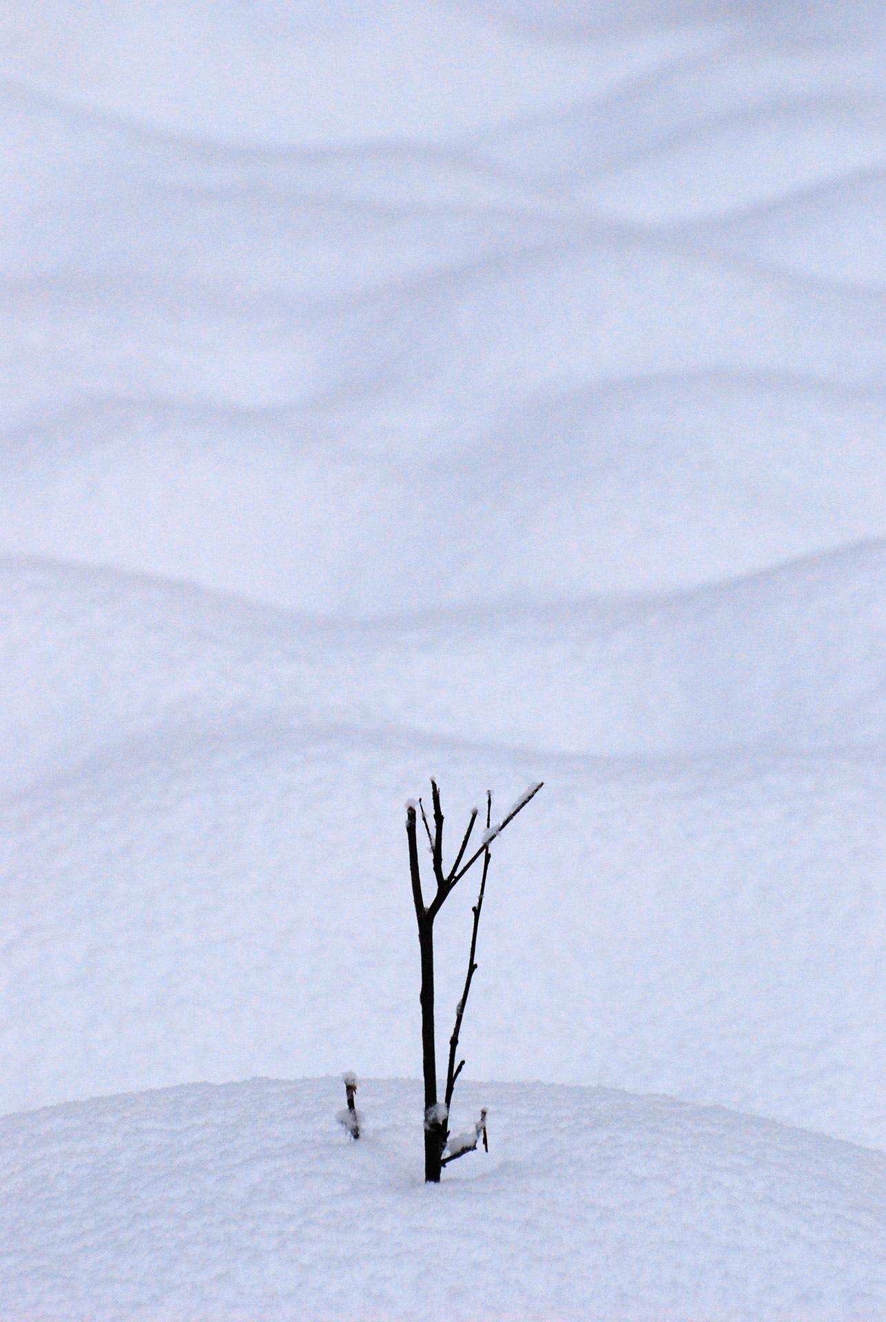 Kiatorp, Småland 2009