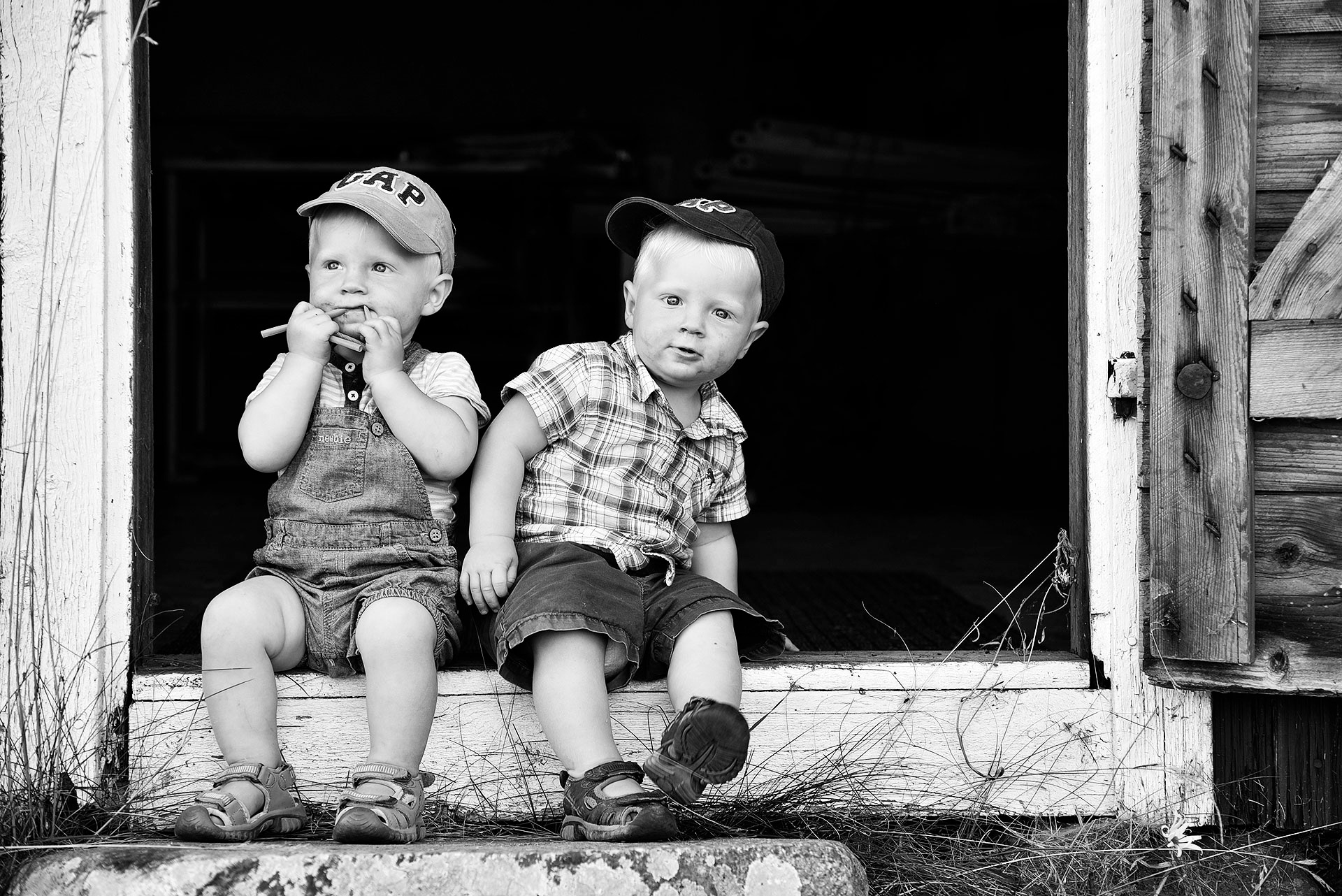 Östra Ny, Vikbolandet 2015