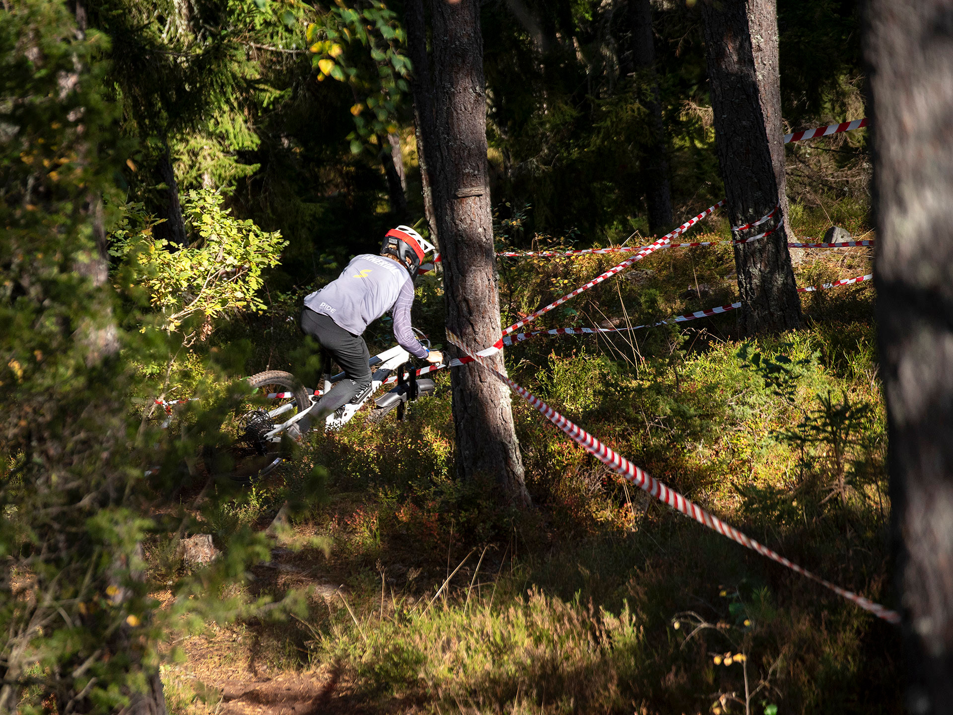 Yxbacken, Norrköping 2024