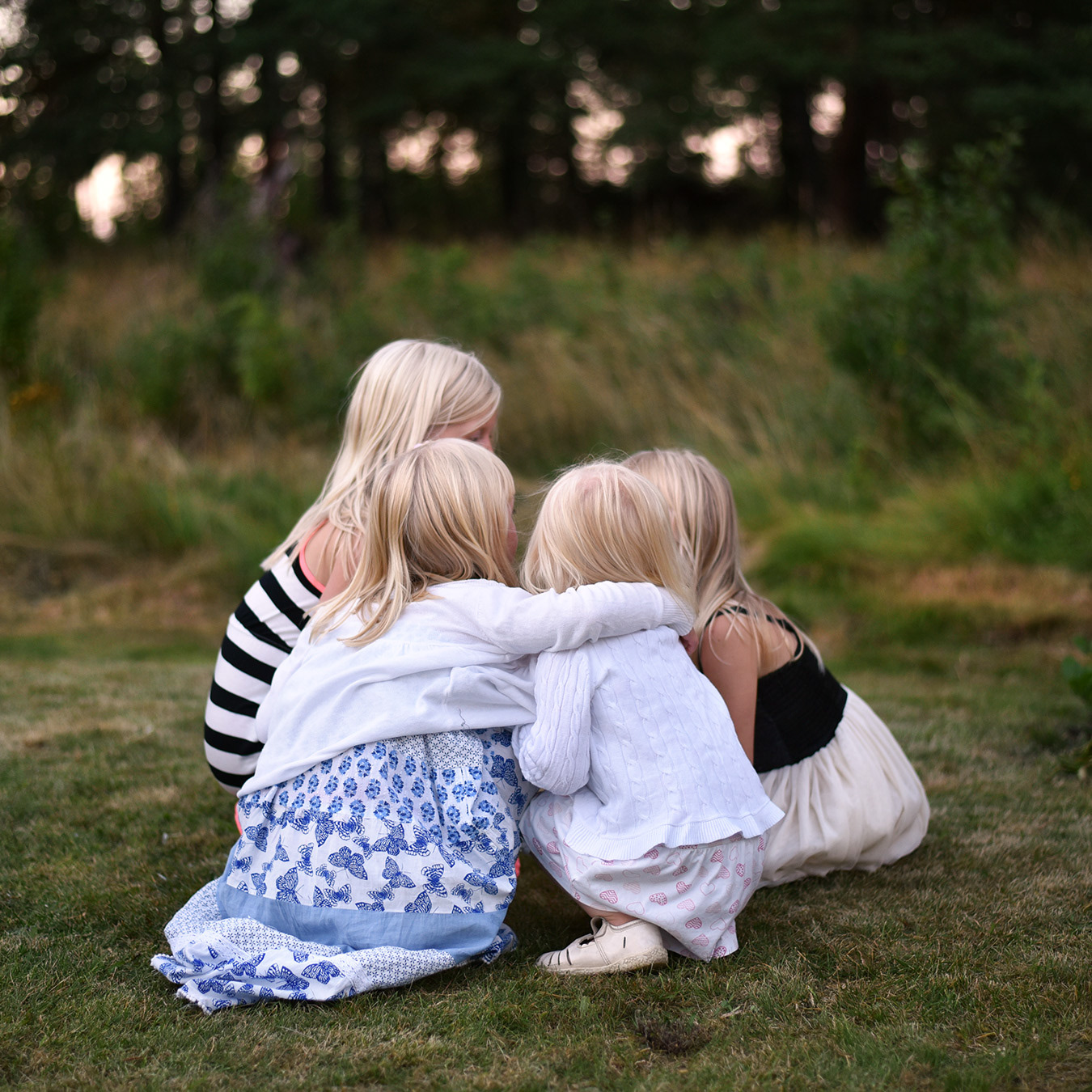 Östra Ny, Vikbolandet 2015