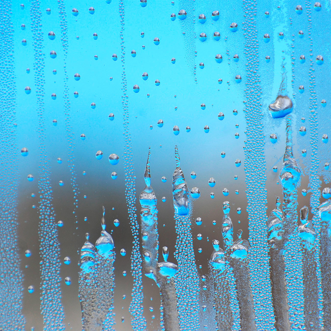 Brånnestad, Vikbolandet 2011