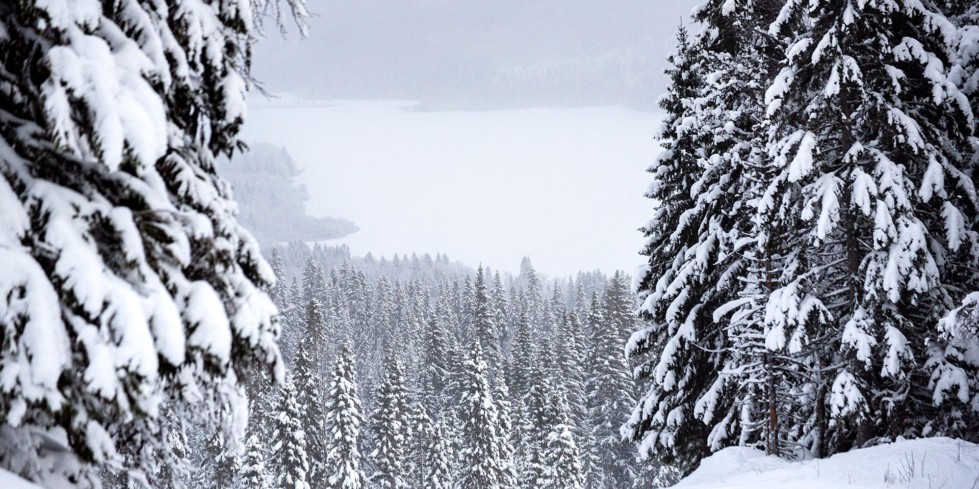 Tegefjäll 2021