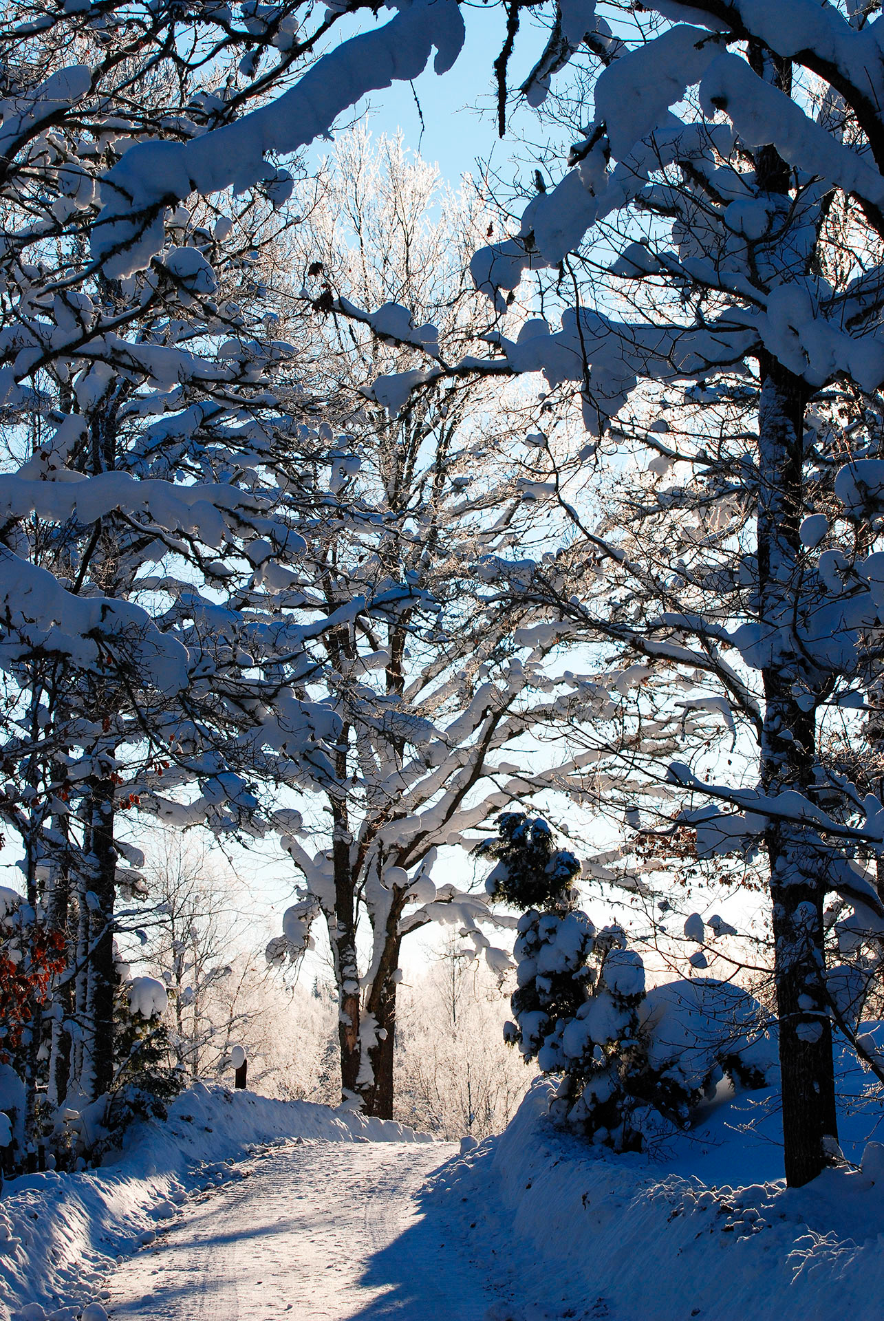Kiatorp, Småland 2010