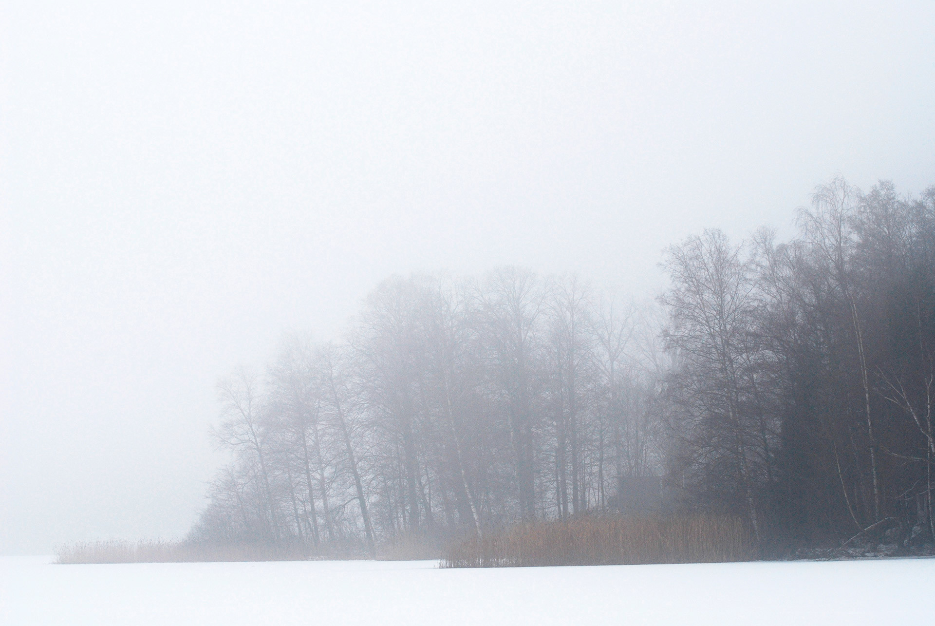 Ensjön, Norrköping 2009