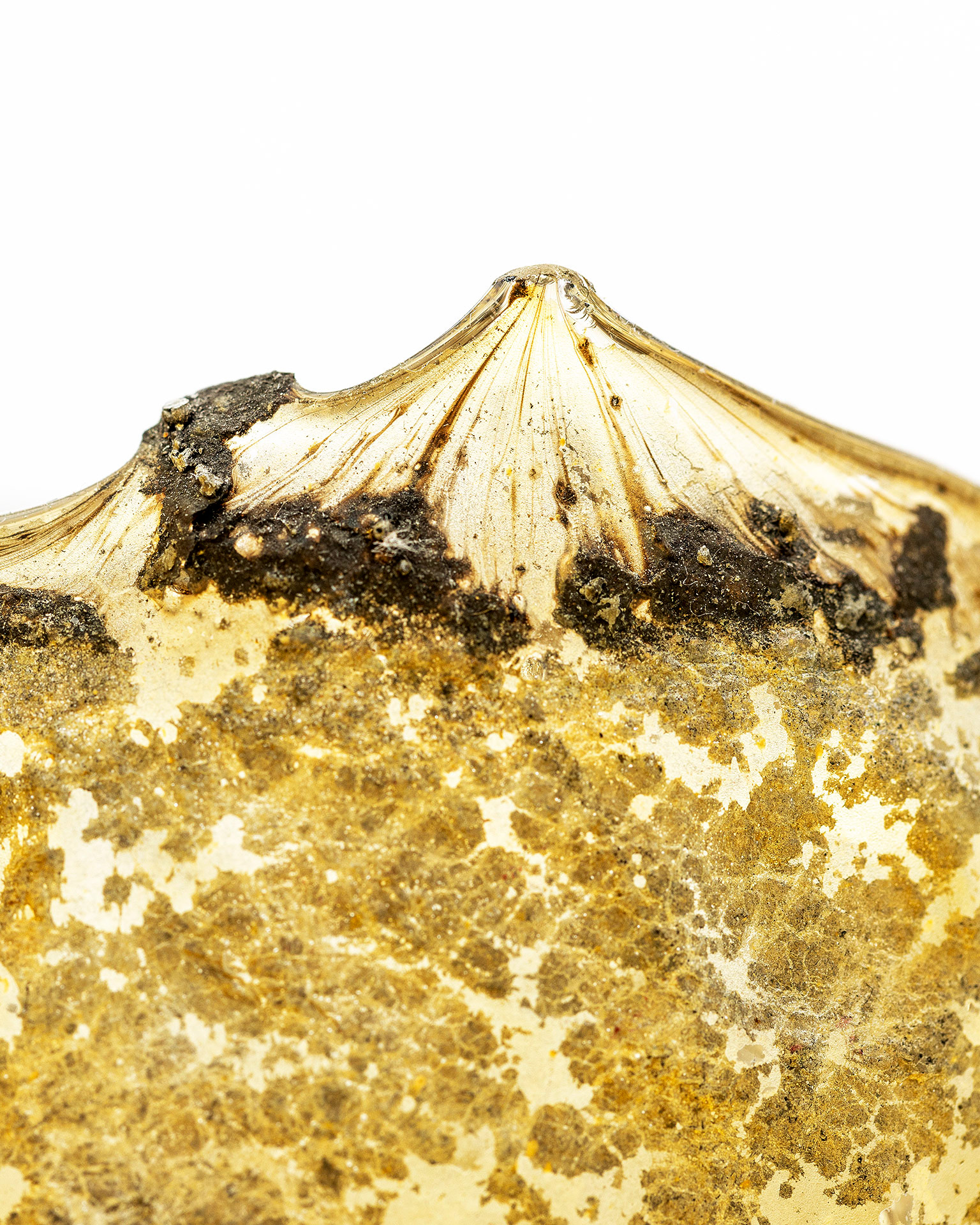 Ensjön, Norrköping 2024