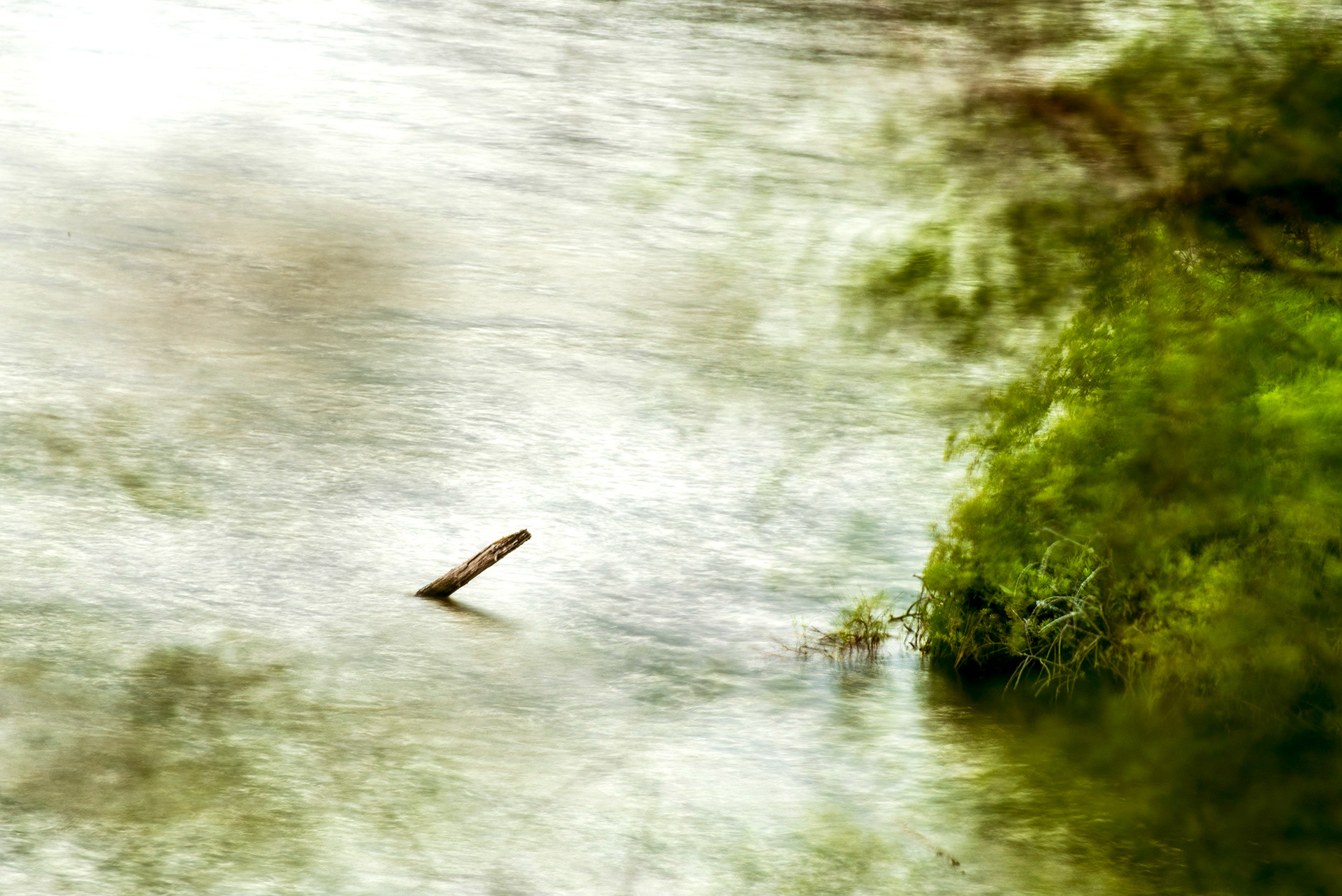 Ensjön, Norrköping 2023