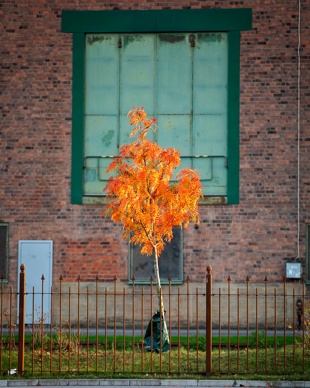 Bråvallaverket 2021