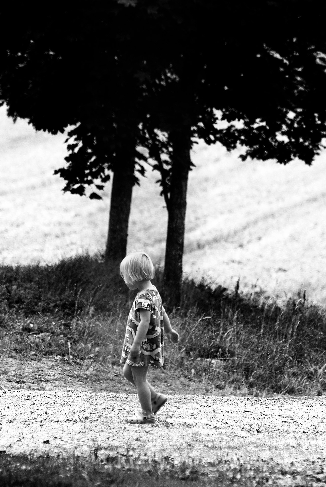 Brånnestad, Vikbolandet 2010