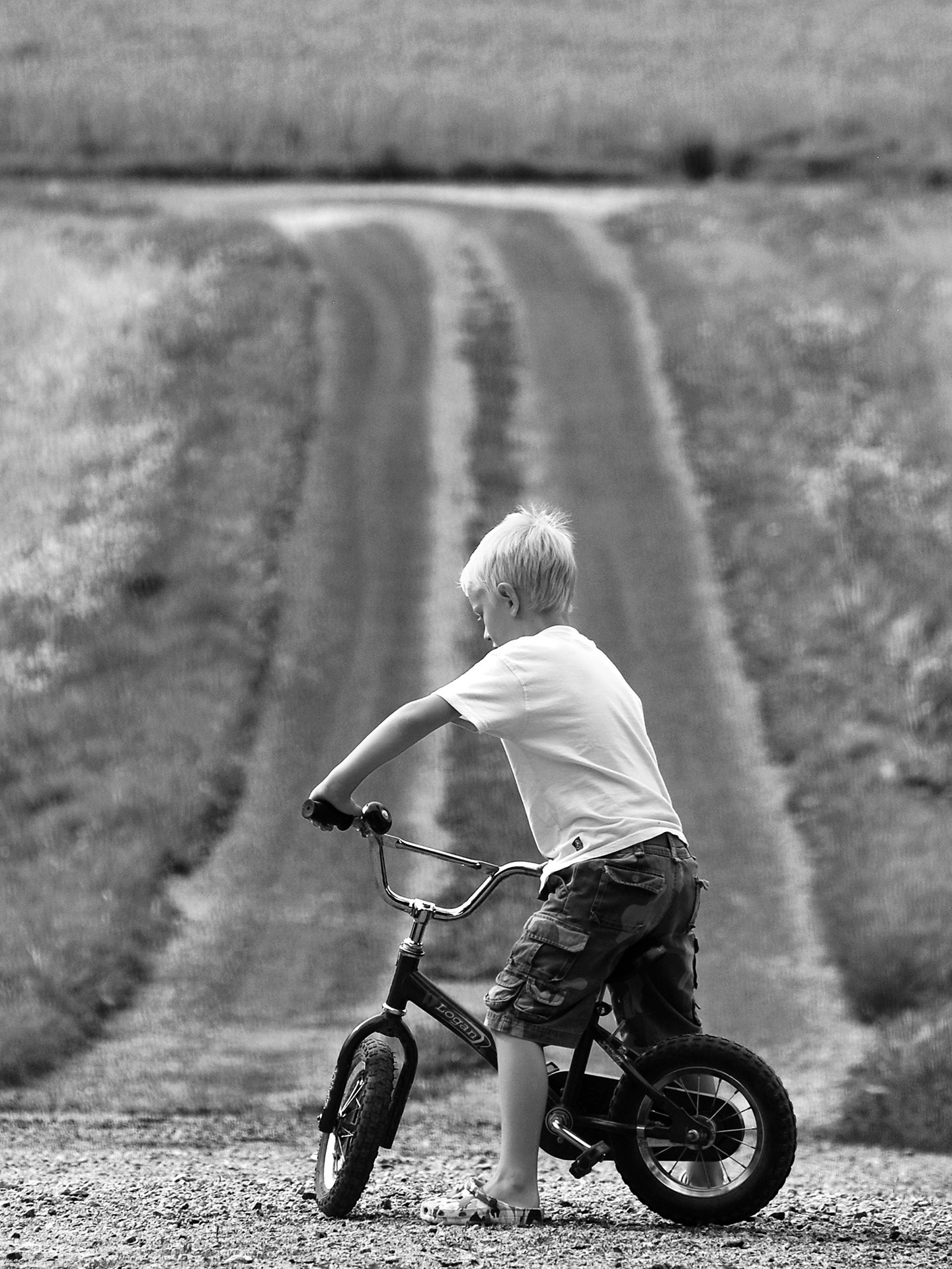 Brånnestad, Vikbolandet 2010