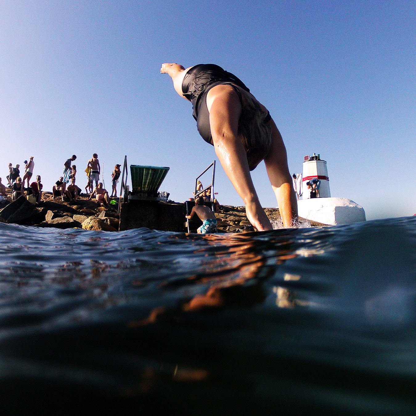 Vikhög, Skåne 2013