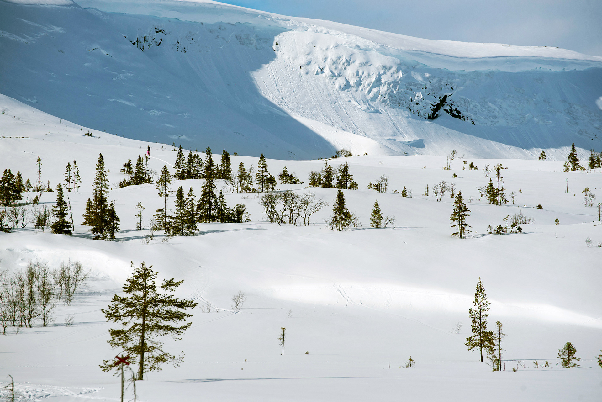 Tegefjäll 2020
