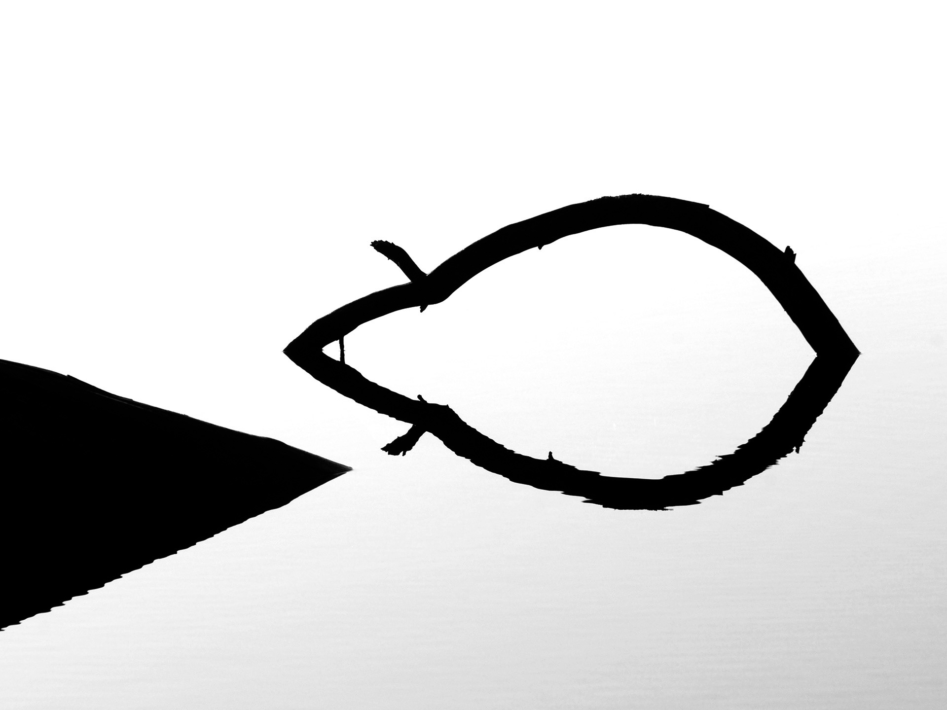 Ågelsjön, Norrköping 2009