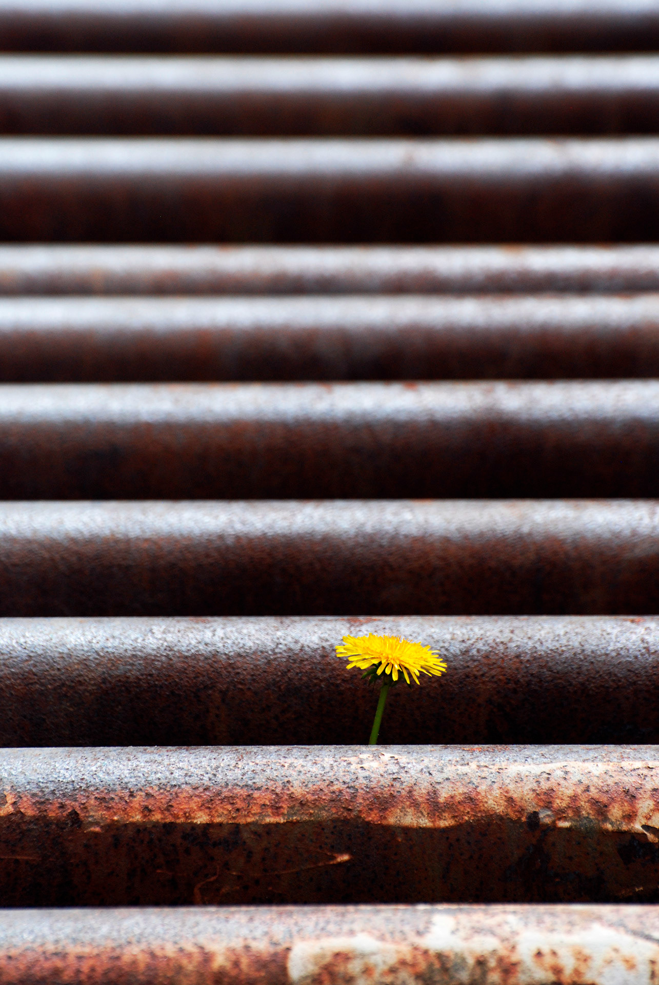 Kiatorp, Småland 2009