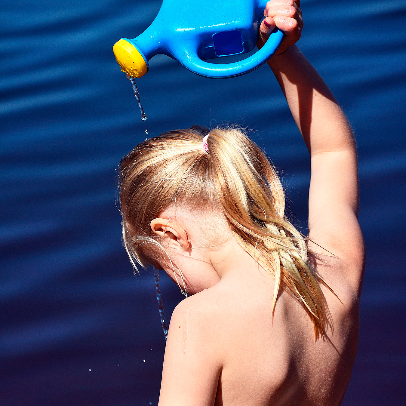 Kiatorp, Småland 2016