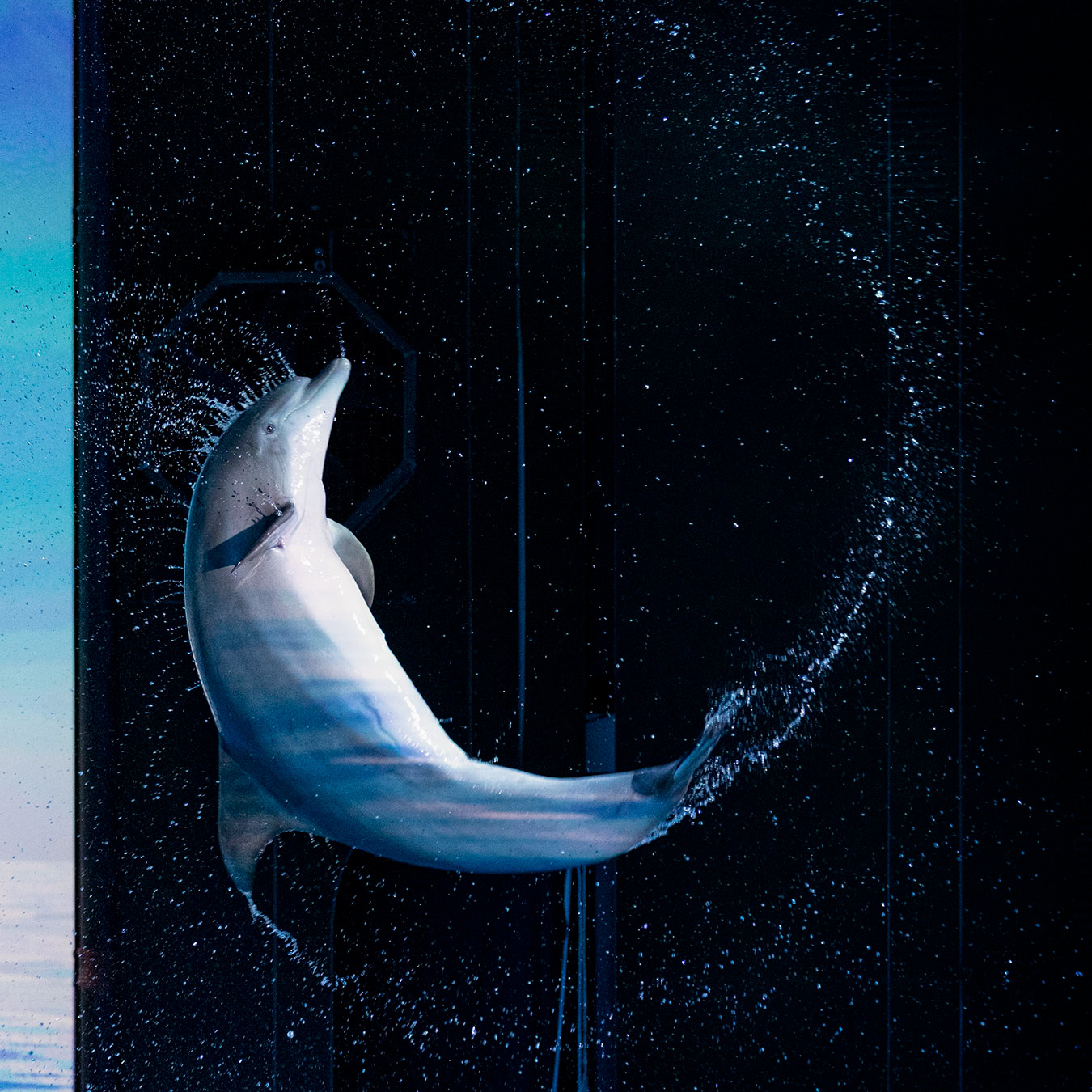 Kolmårdens djurpark 2023