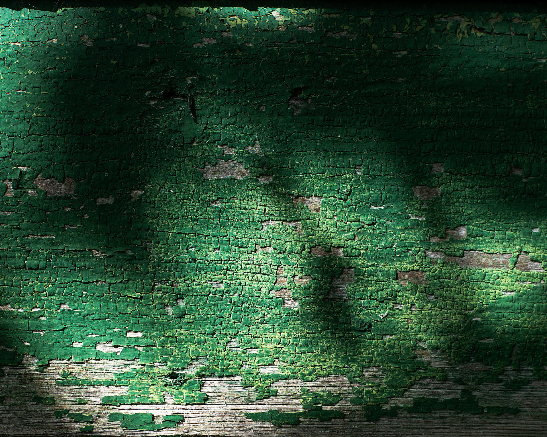 Ensjön, Norrköping 2024