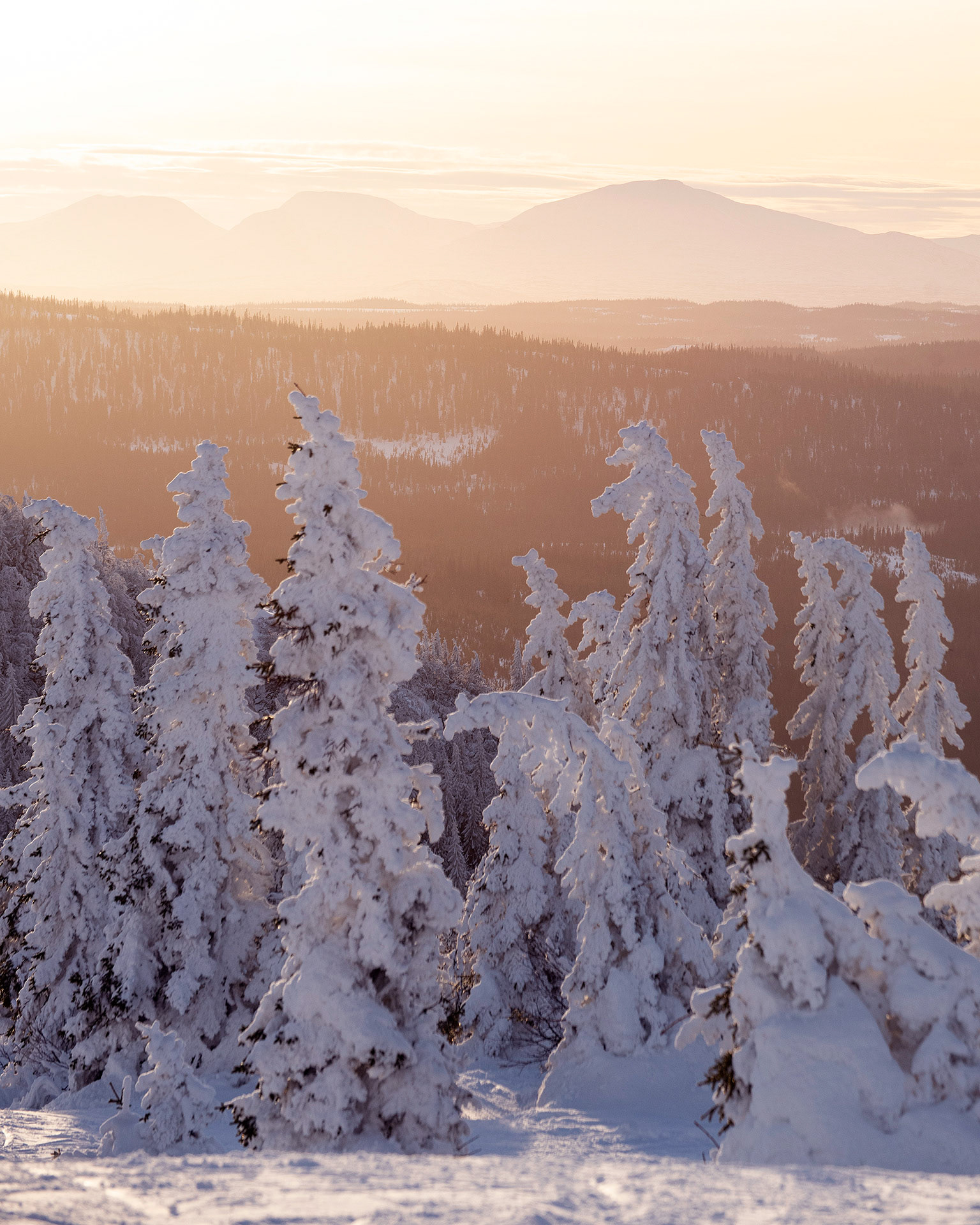 Åre 2021