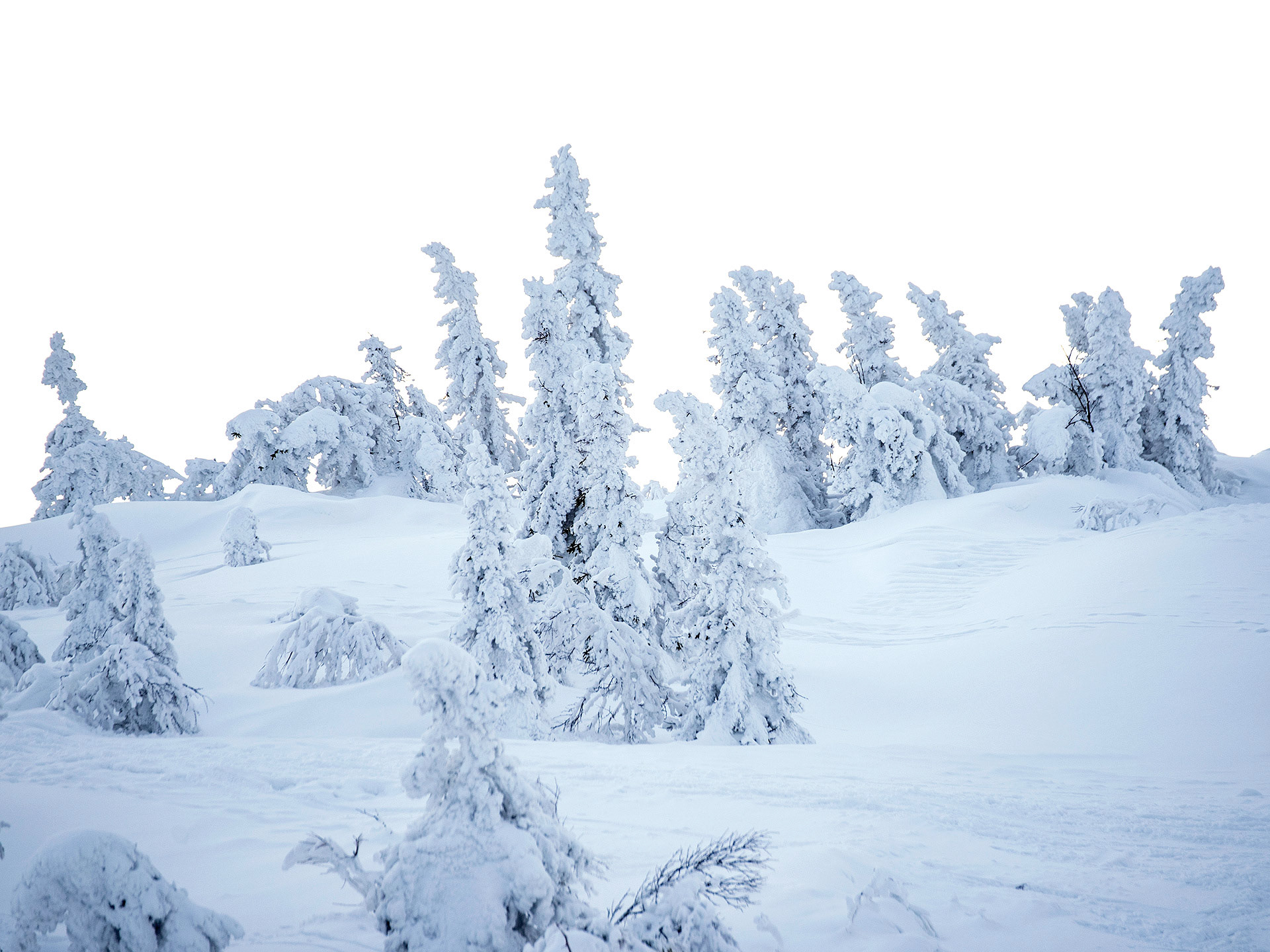 Åre 2021