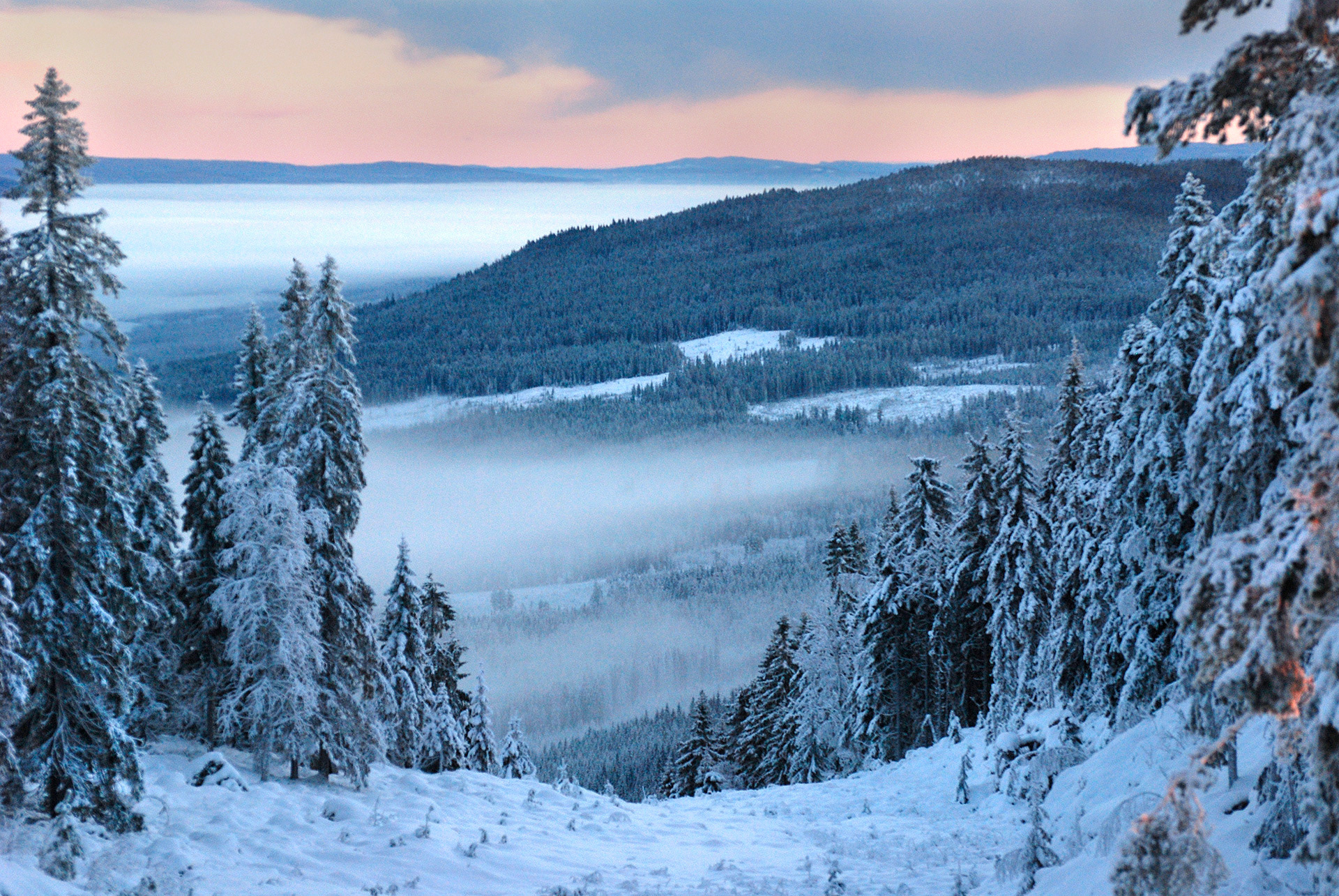 Branäs 2014