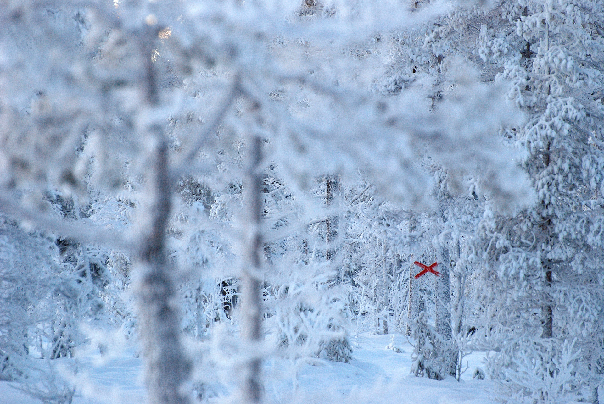 Branäs 2014