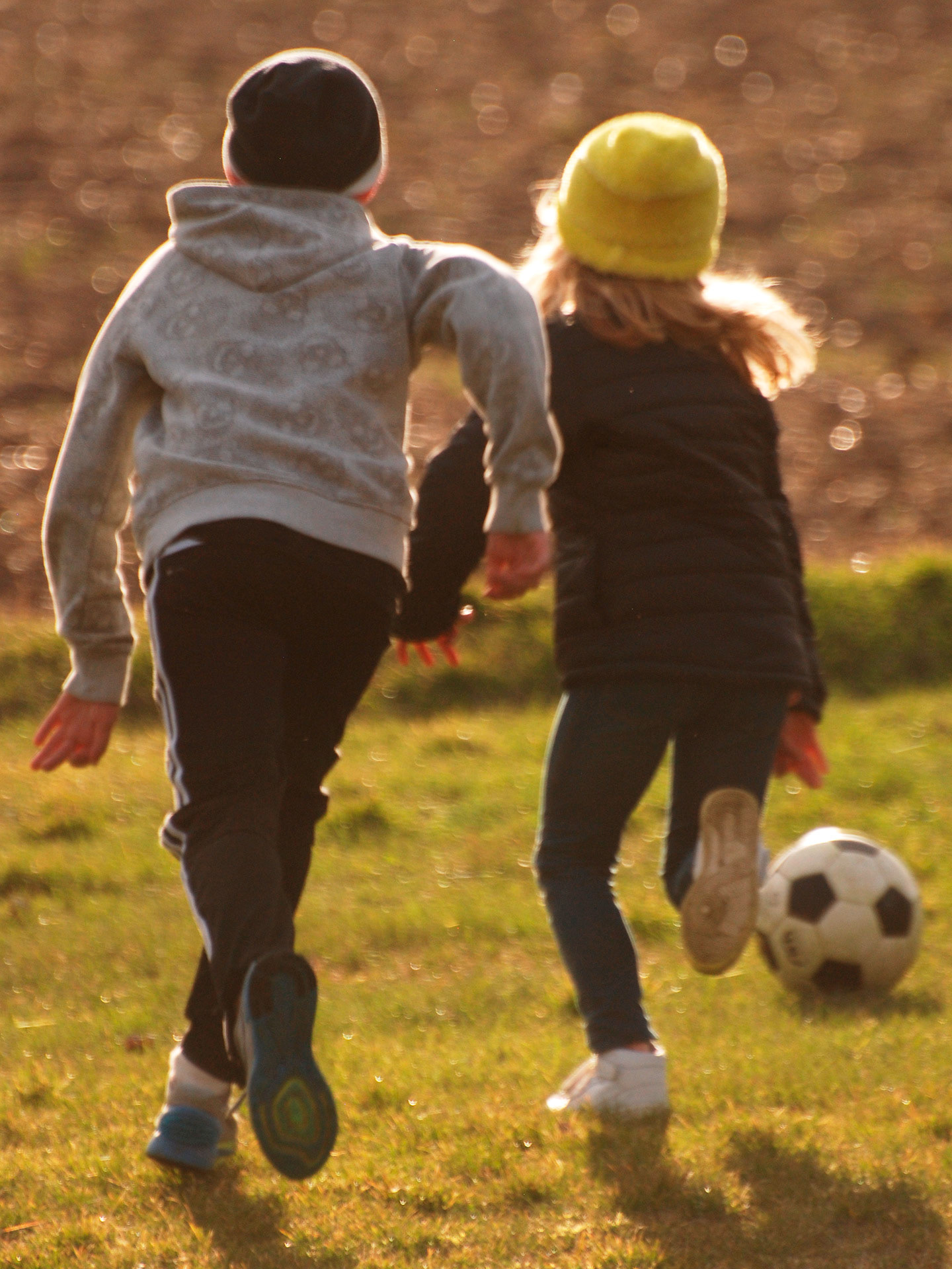 Brånnestad, Vikbolandet 2015