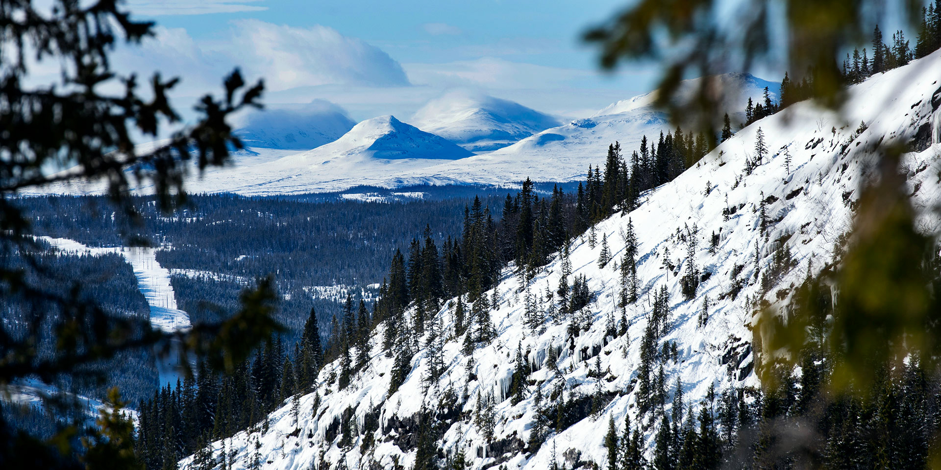 Tegefjäll 2020