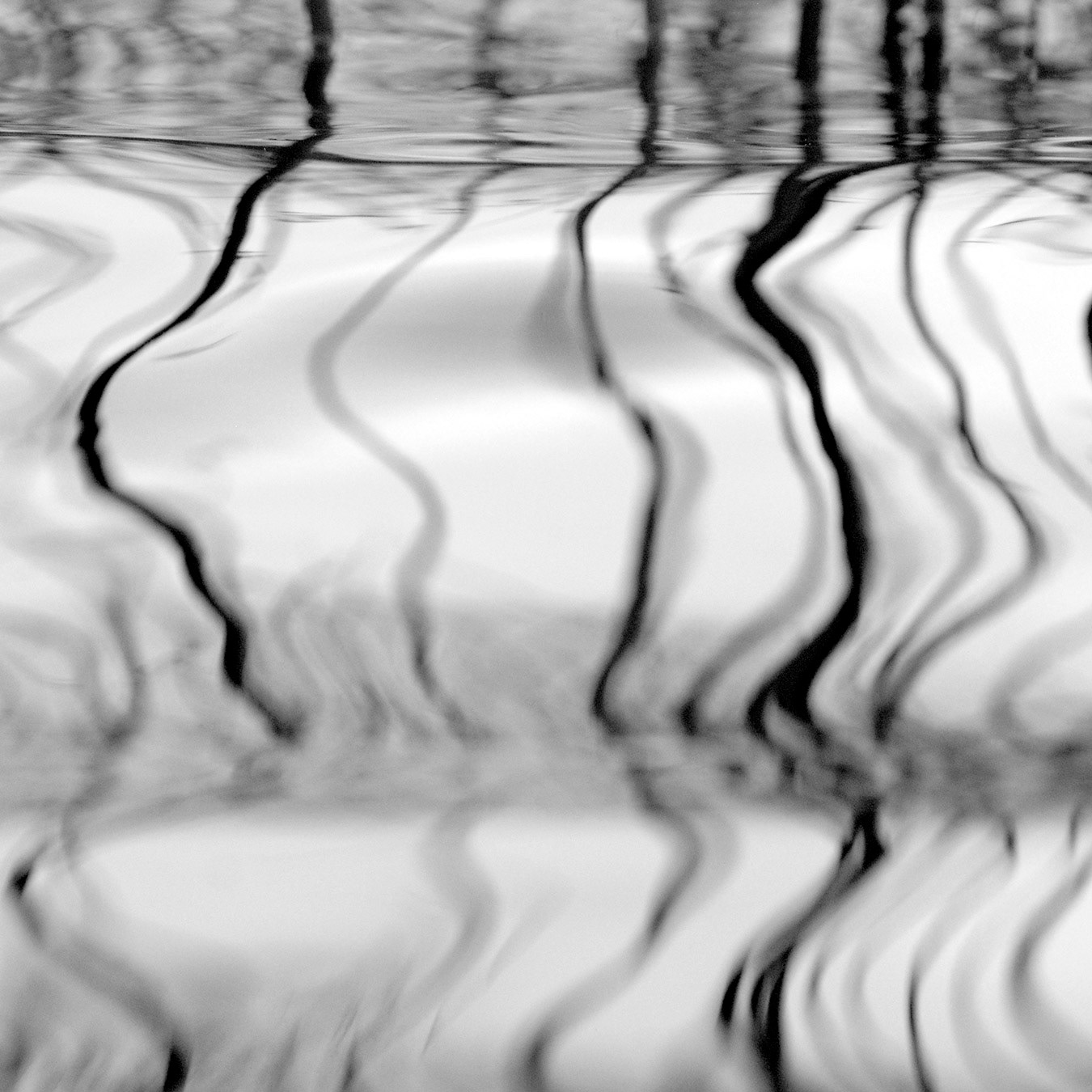 Kiatorp, Småland 2009