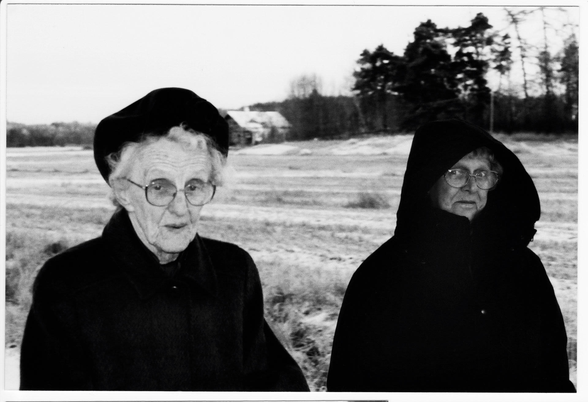 Brånnestad, Vikbolandet 2001