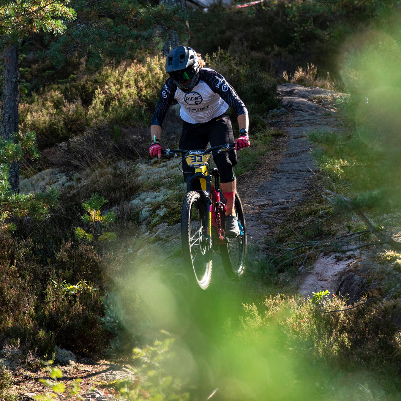 Yxbacken, Norrköping 2024