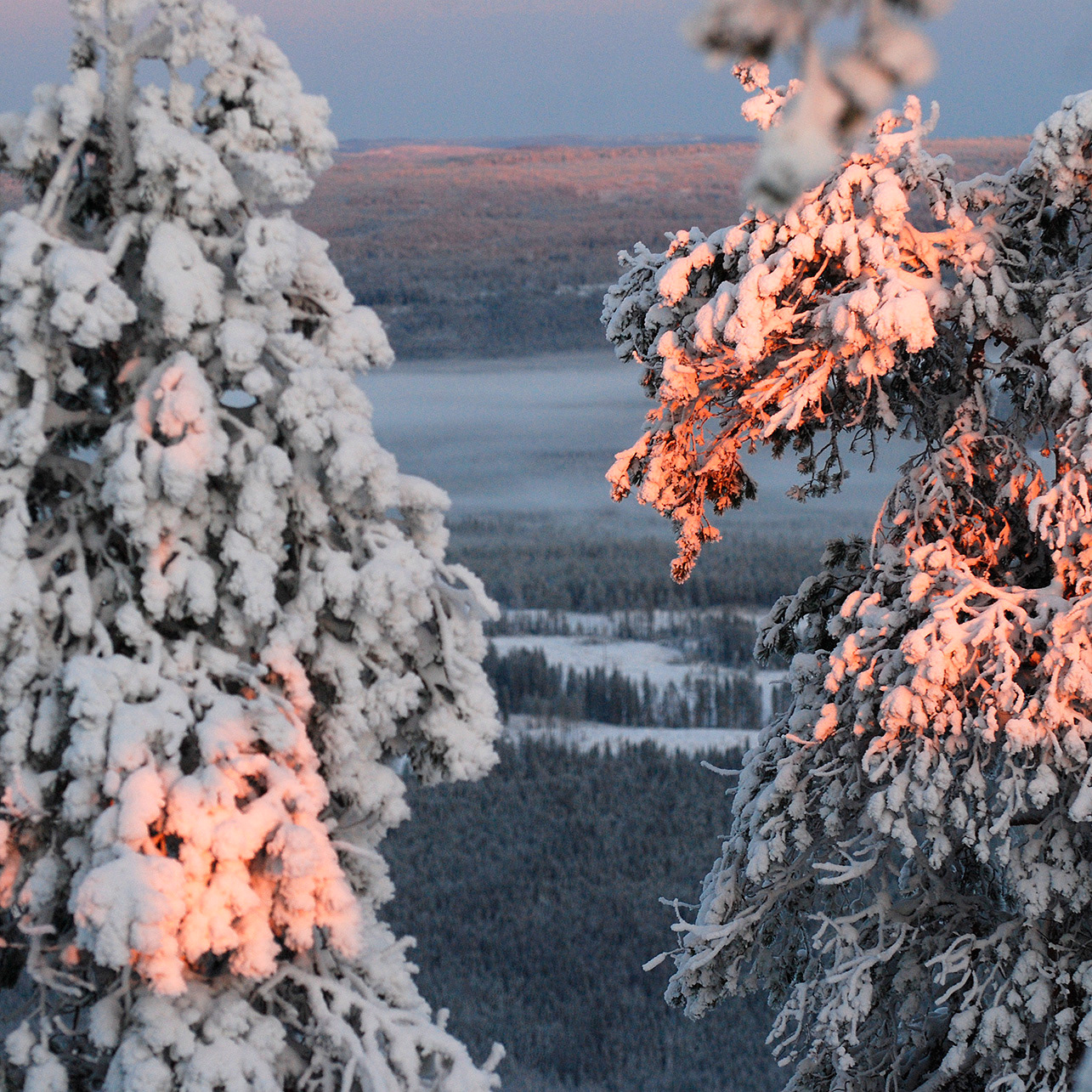 Branäs 2014