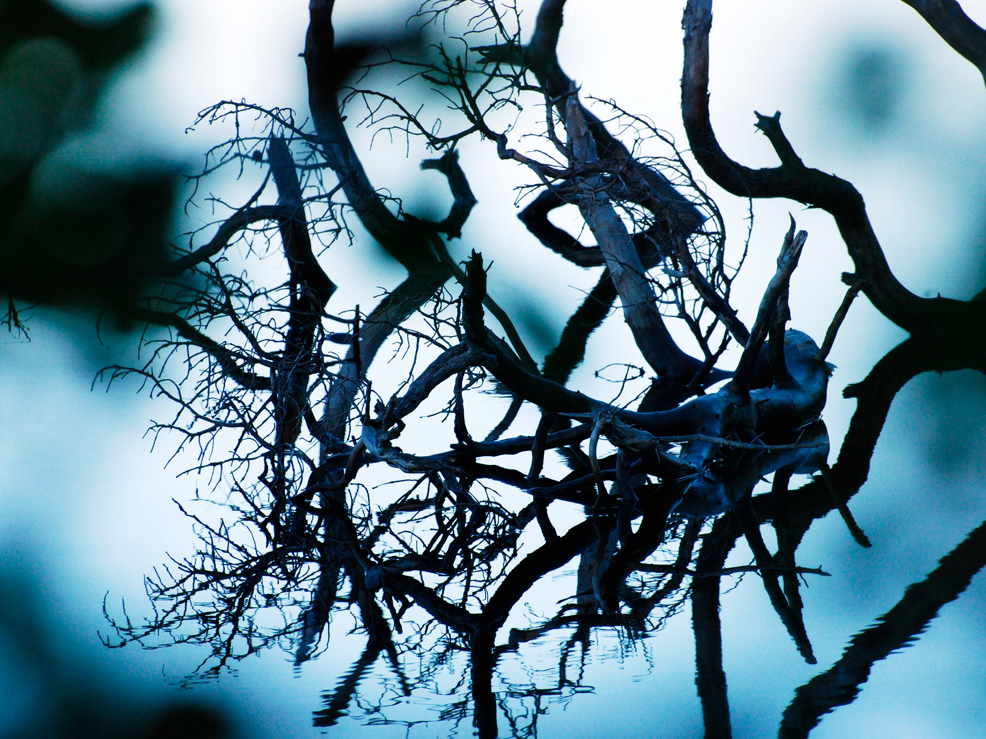 Ågelsjön, Norrköping 2009