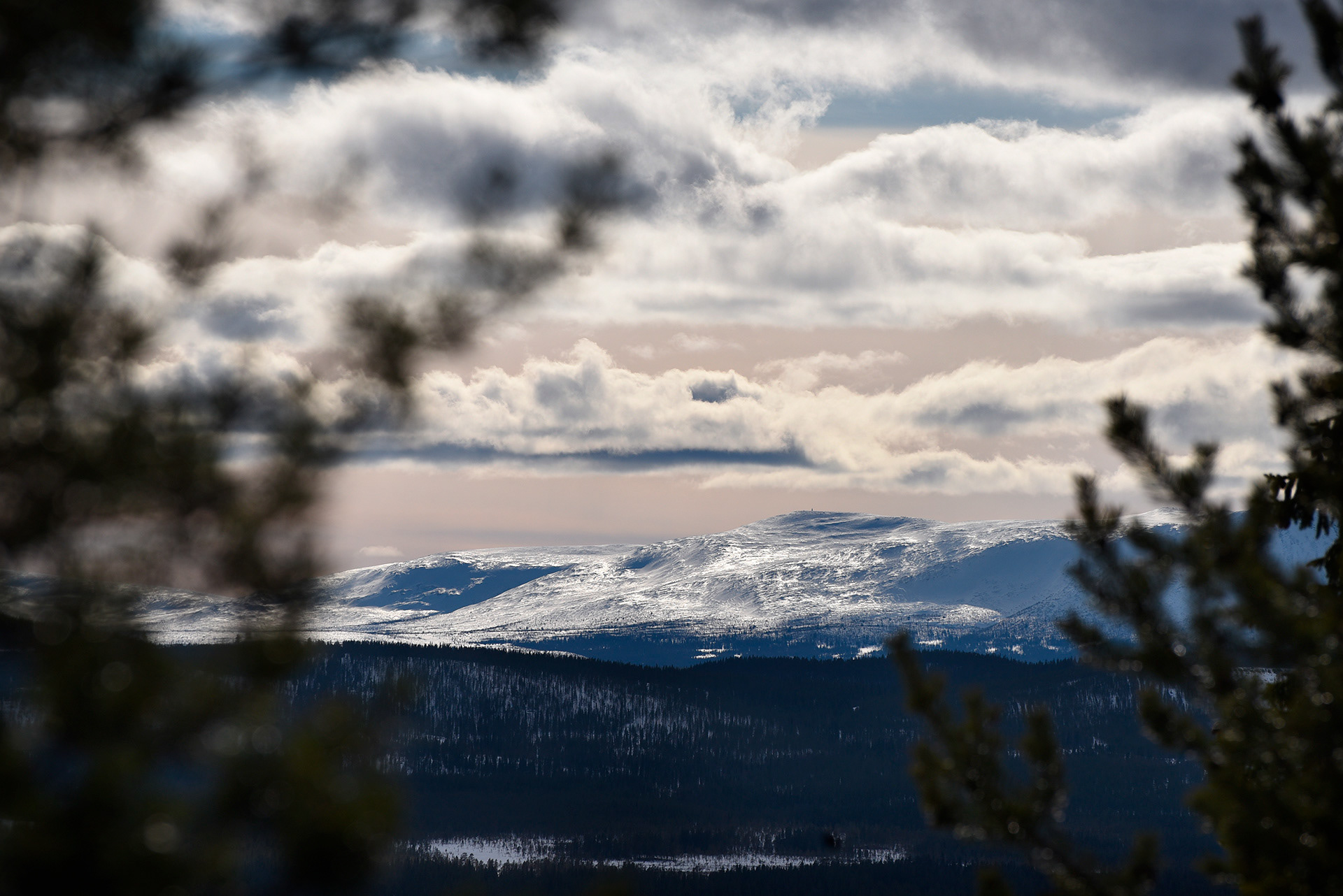 Björnrike 2016
