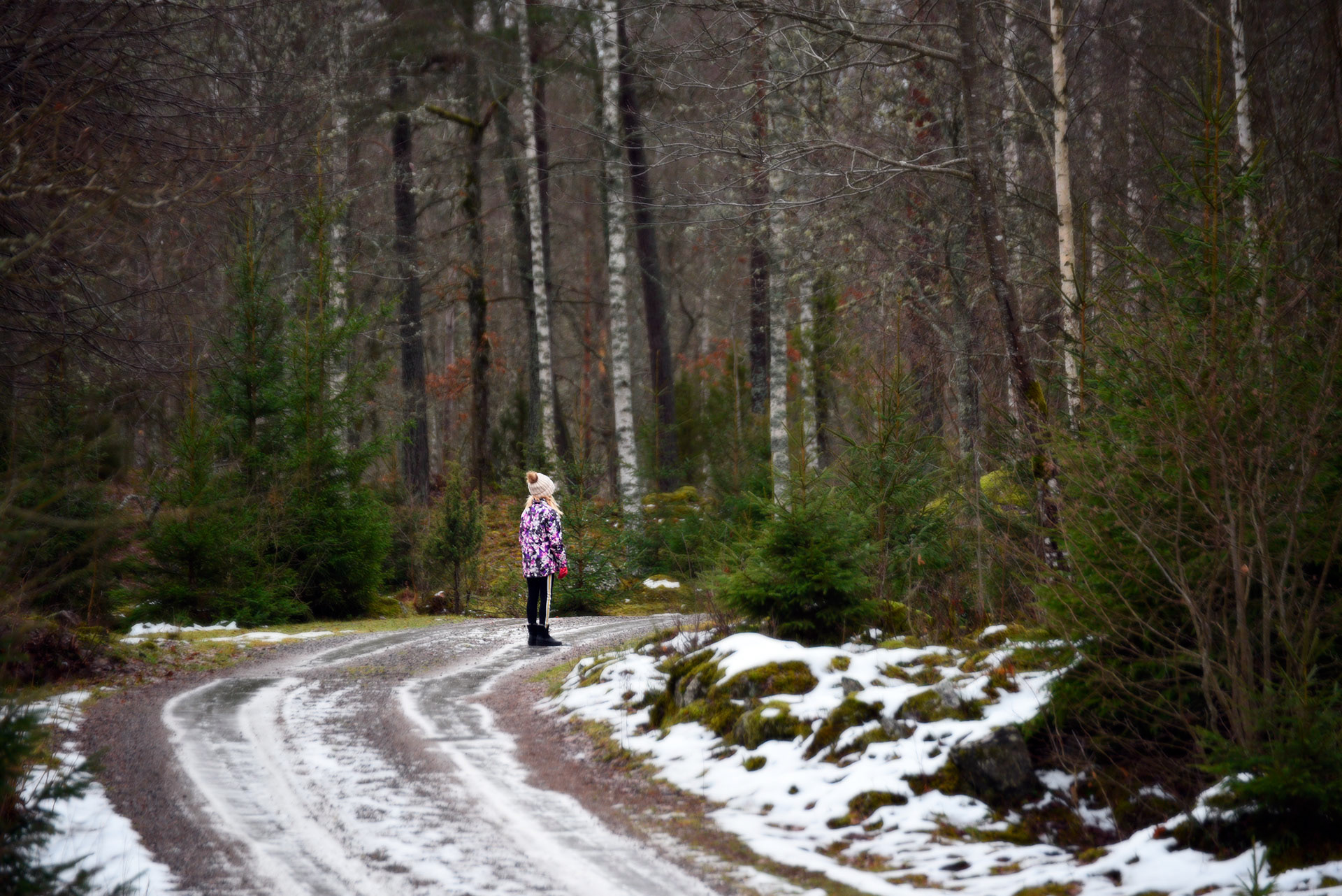 Kiatorp, Småland 2018