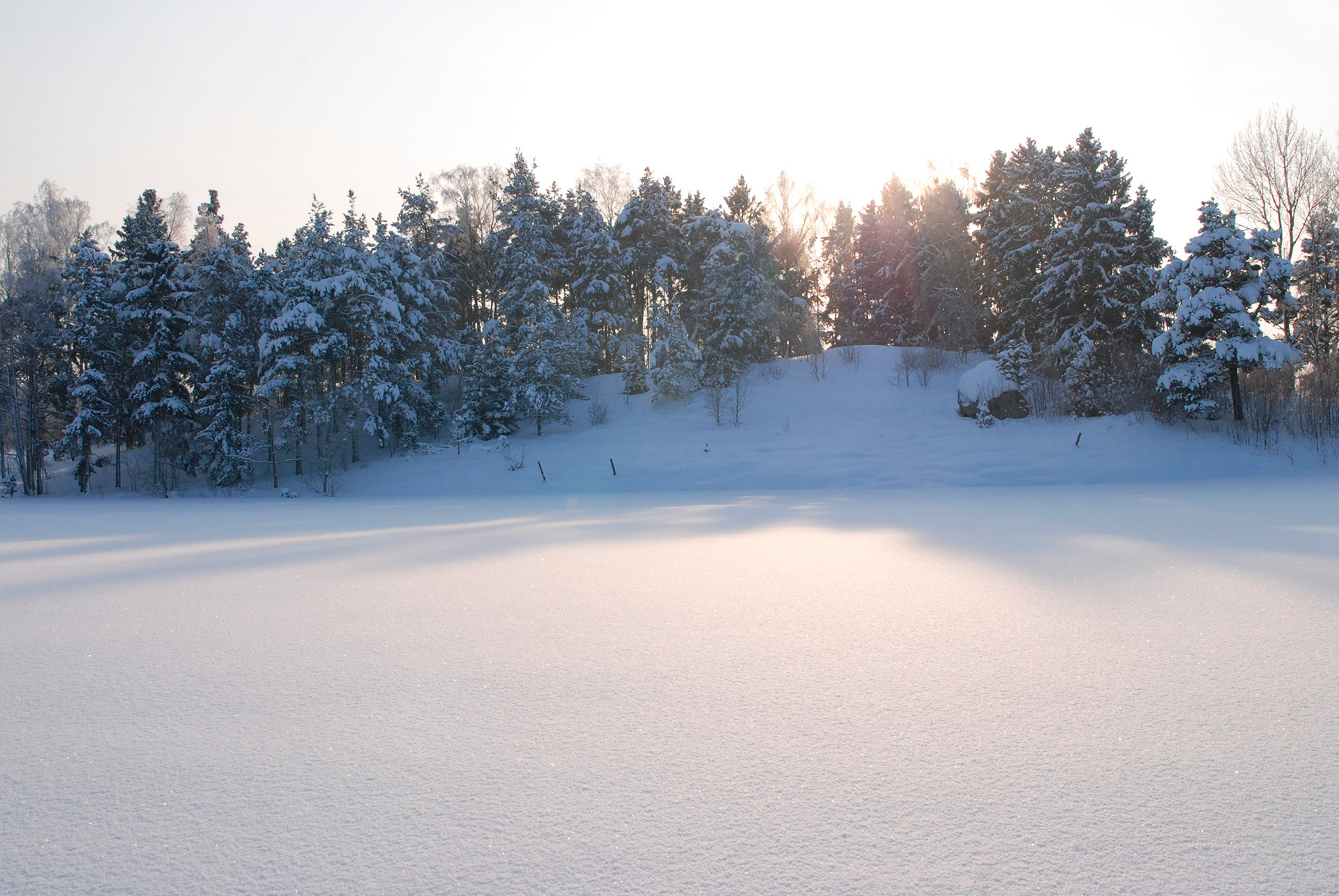Brånnestad, Vikbolandet 2010
