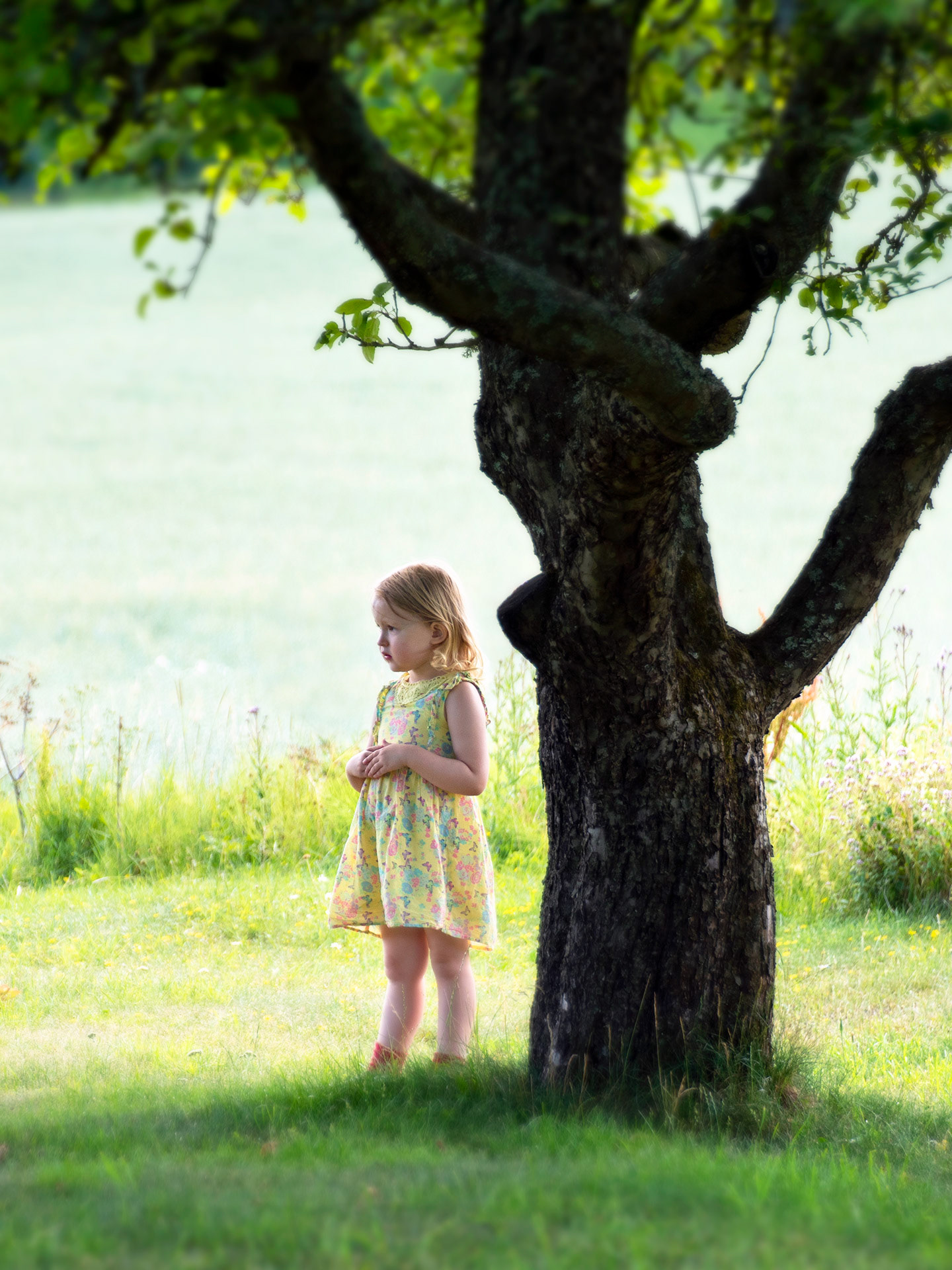 Brånnestad, Vikbolandet 2023